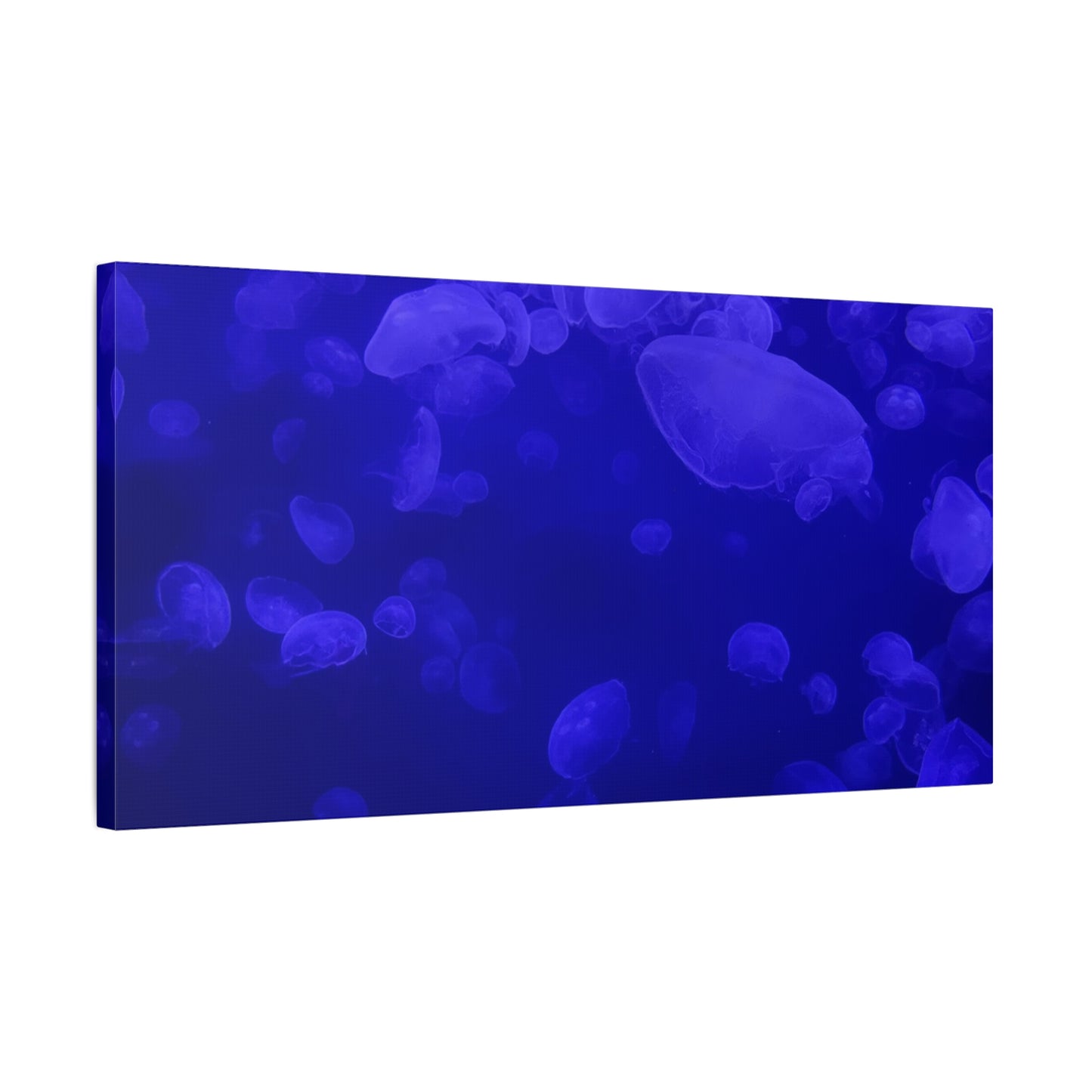 Jellyfish Watercolor Canvas Art - Ocean Theme Wall Decor