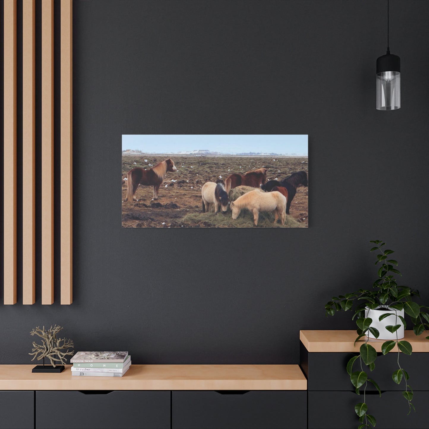 Icelandic Horse Canvas Art - Matte Stretched Print for Animal Lovers