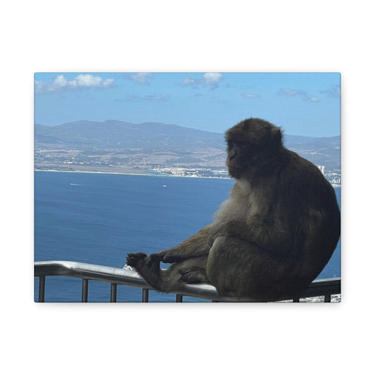 Monkey by the Sea Canvas Art - Relaxing Coastal Wall Decor Gibraltar