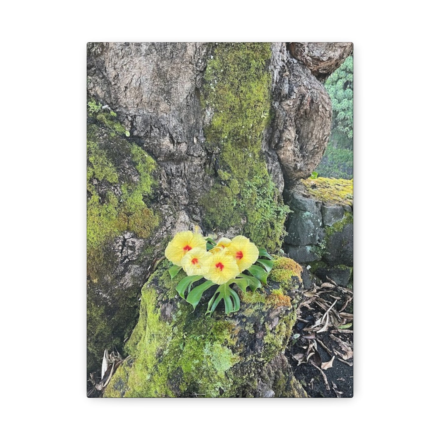 Floral Matte Canvas Art - Yellow Orchid and Moss Decor