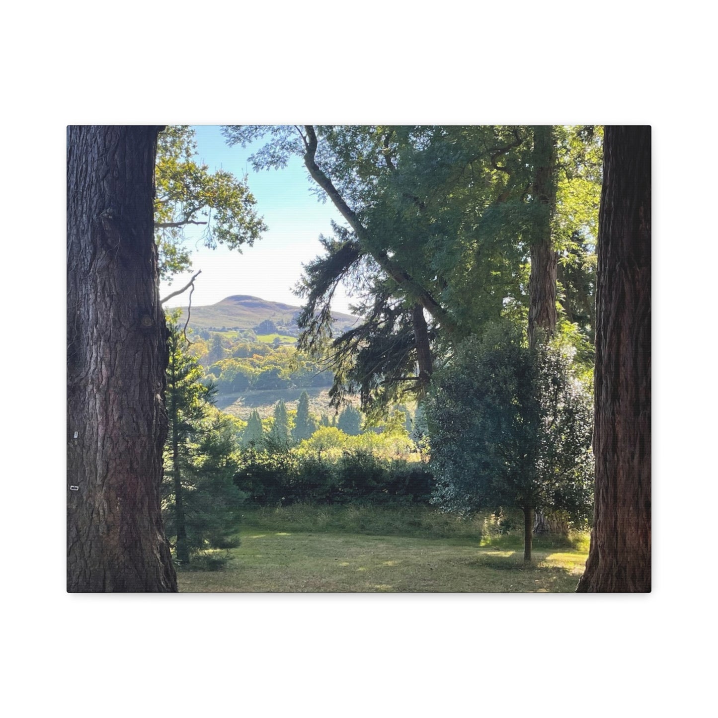 Nature-Inspired Matte Canvas Wall Art - Scenic Landscape Decor