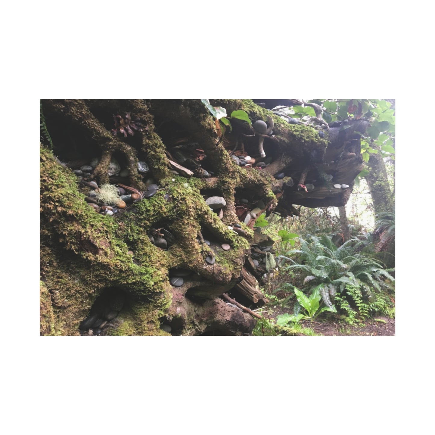 Nature-Inspired Stretched Canvas Art: Enchanted Forest Vibes