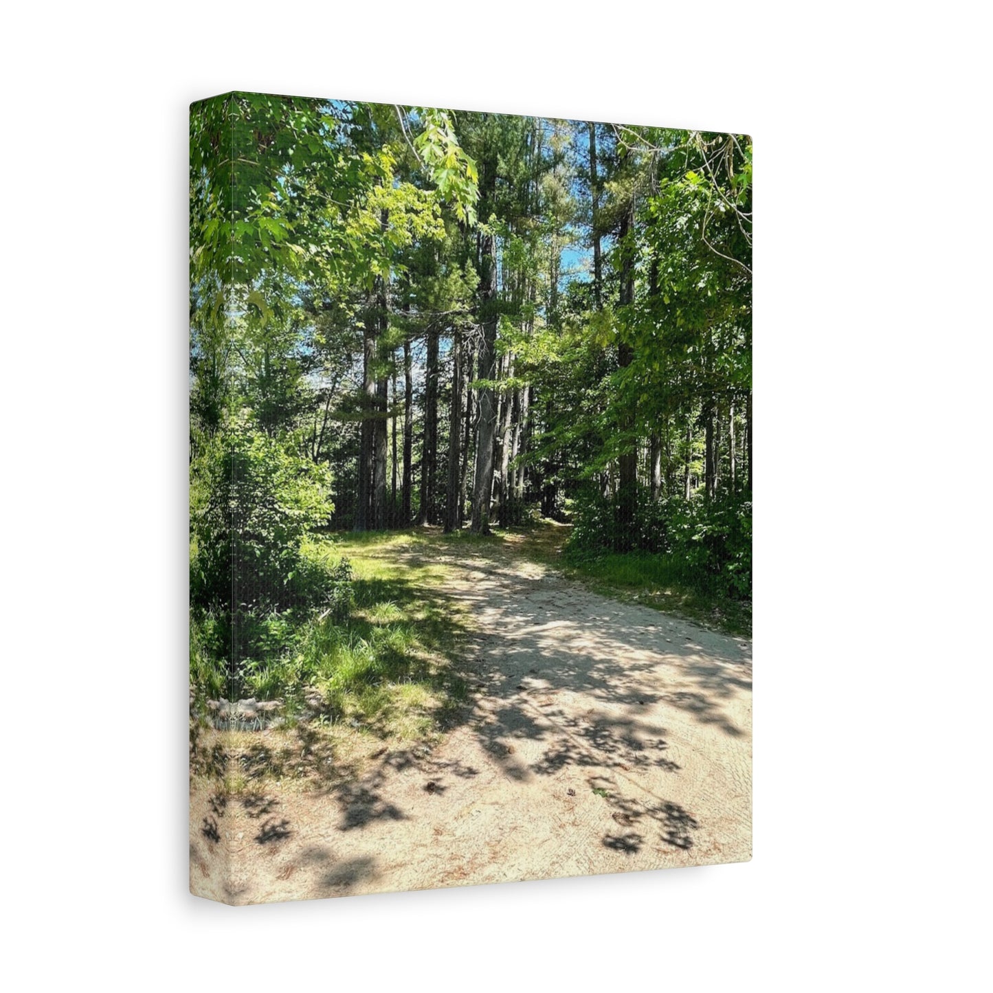 Serene Forest Path Canvas Wall Art - Tranquil Nature Decor for Home