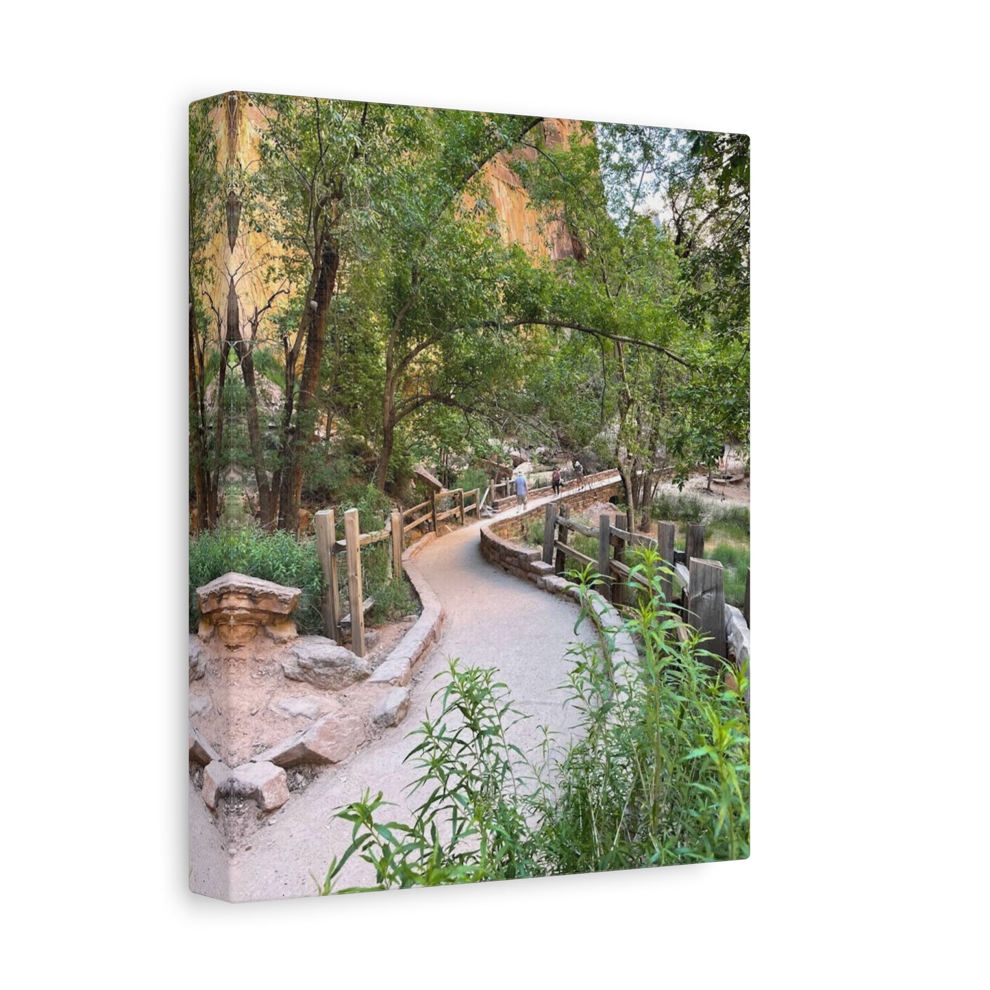 Nature Path Matte Canvas Wall Art - Scenic Landscape Decor
