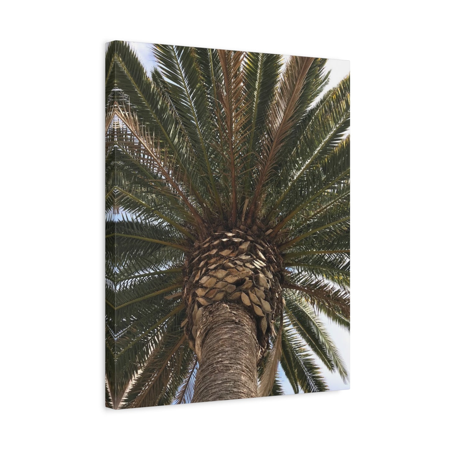 Tropical Palm Tree Canvas Art - Stretched Wall Decor for Home or Office
