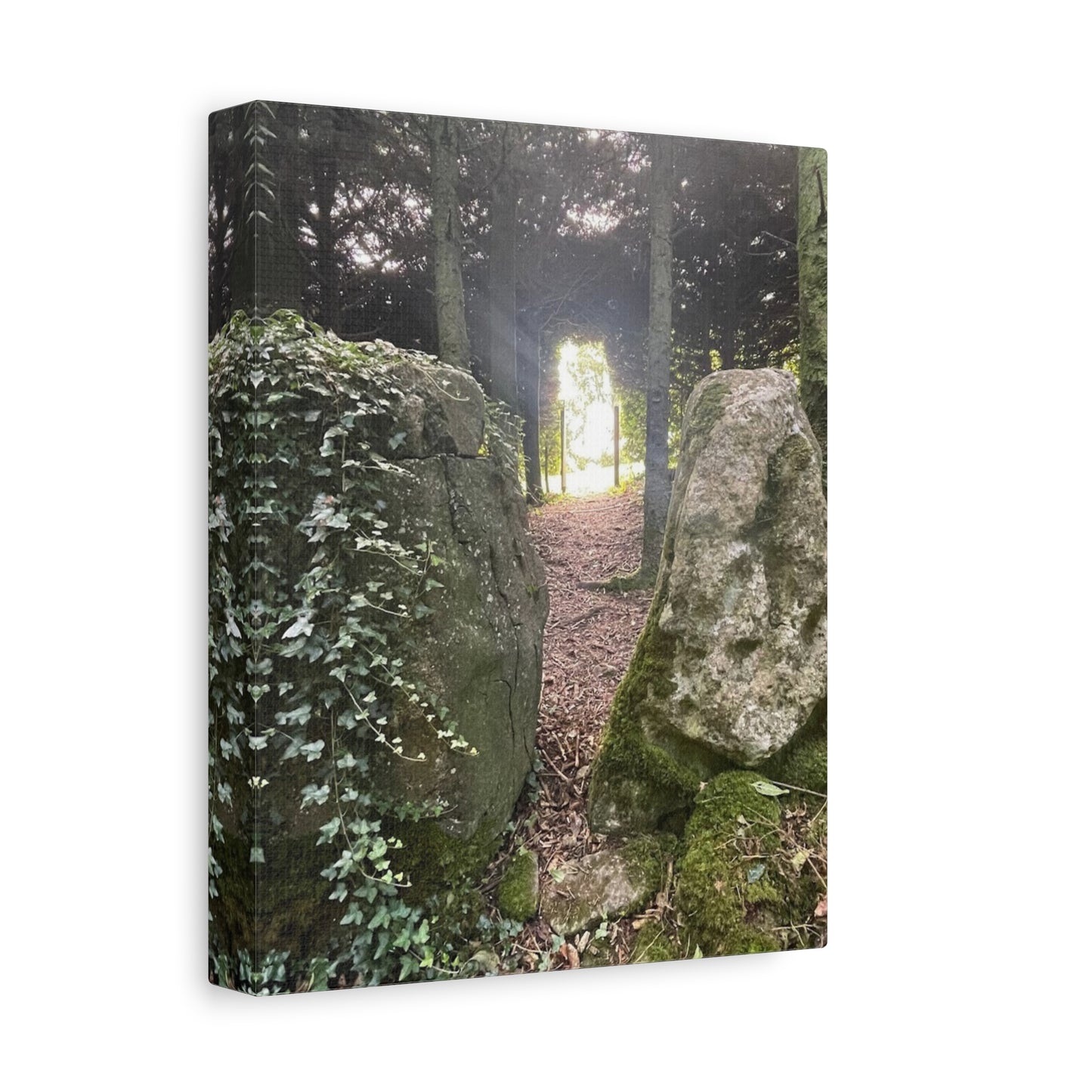 Serene Nature Wall Art Canvas – Tranquil Forest Scene for Home Decor