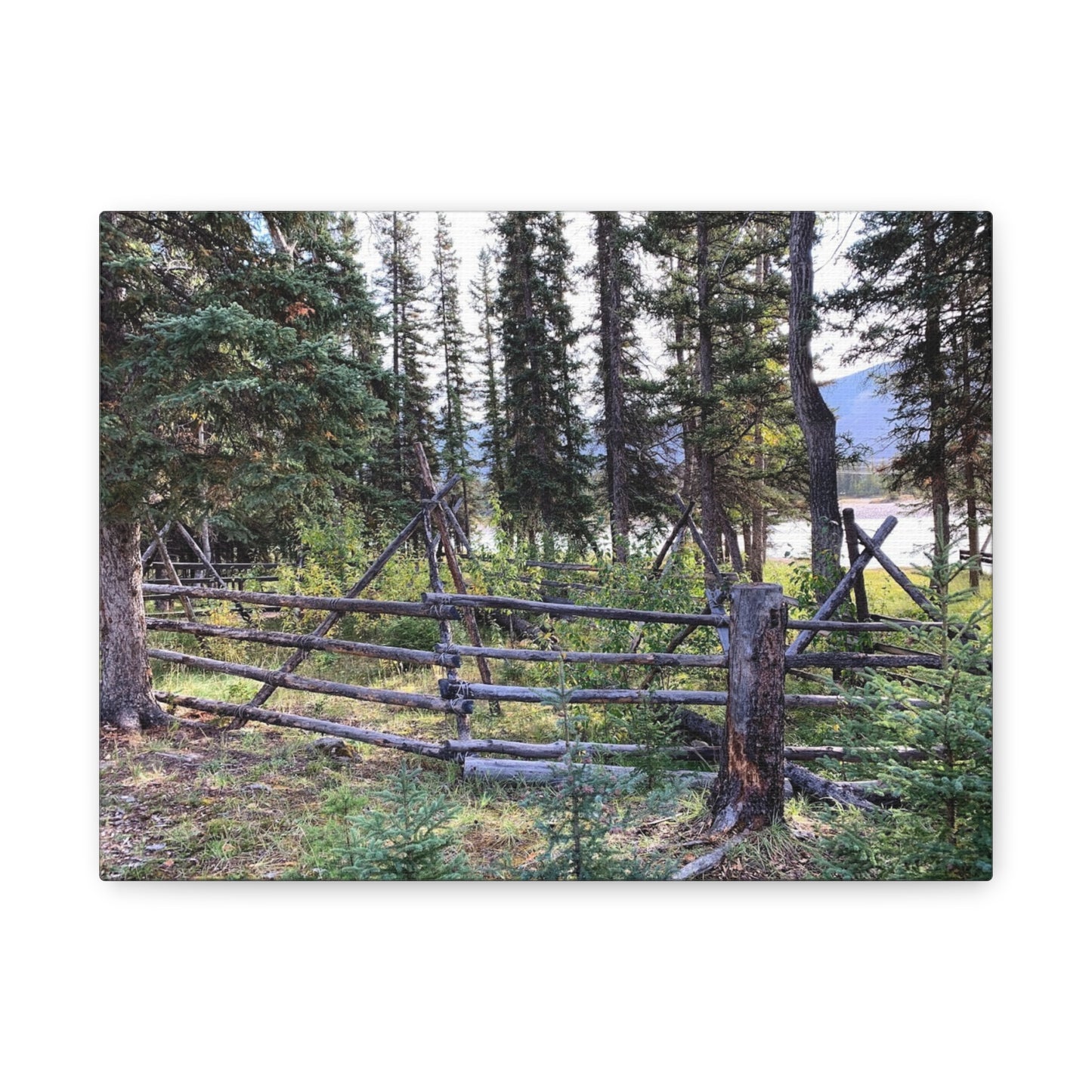Nature-Inspired Wall Art Canvas Print - Tranquil Forest Scene