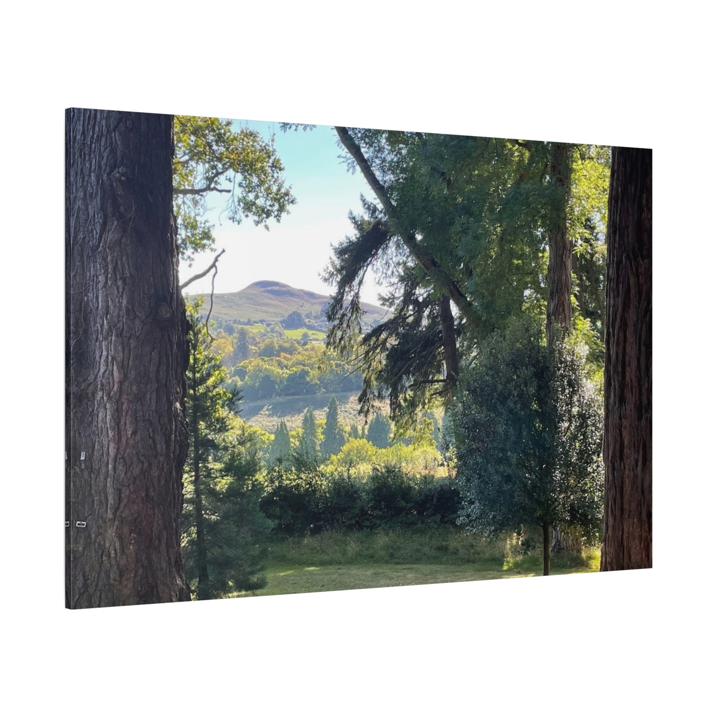 Nature-Inspired Matte Canvas Wall Art - Scenic Landscape Decor