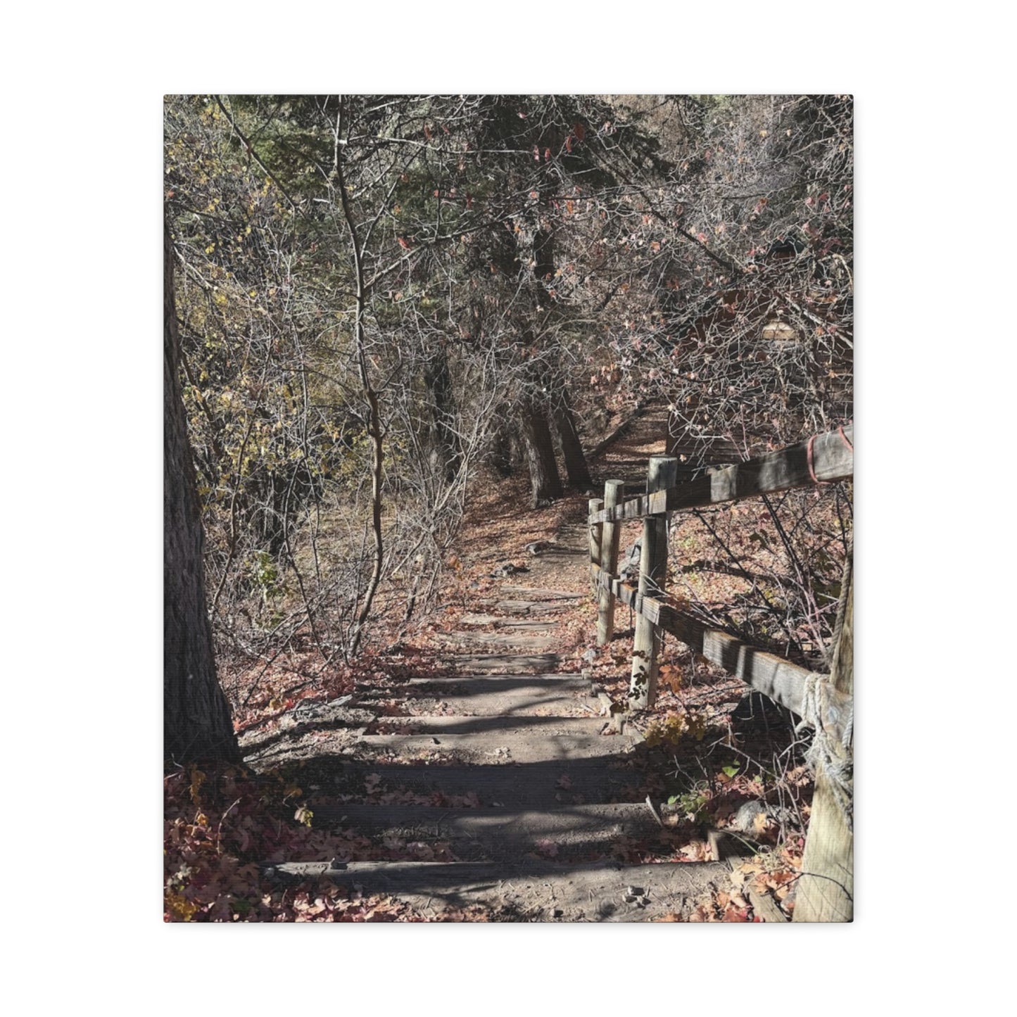 Nature Path Matte Canvas Wall Art - Tranquil Landscape Decor