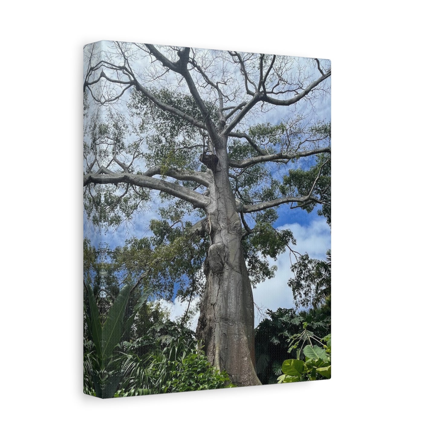Stretched Canvas Art - Majestic Tree Wall Decor for Nature Lovers