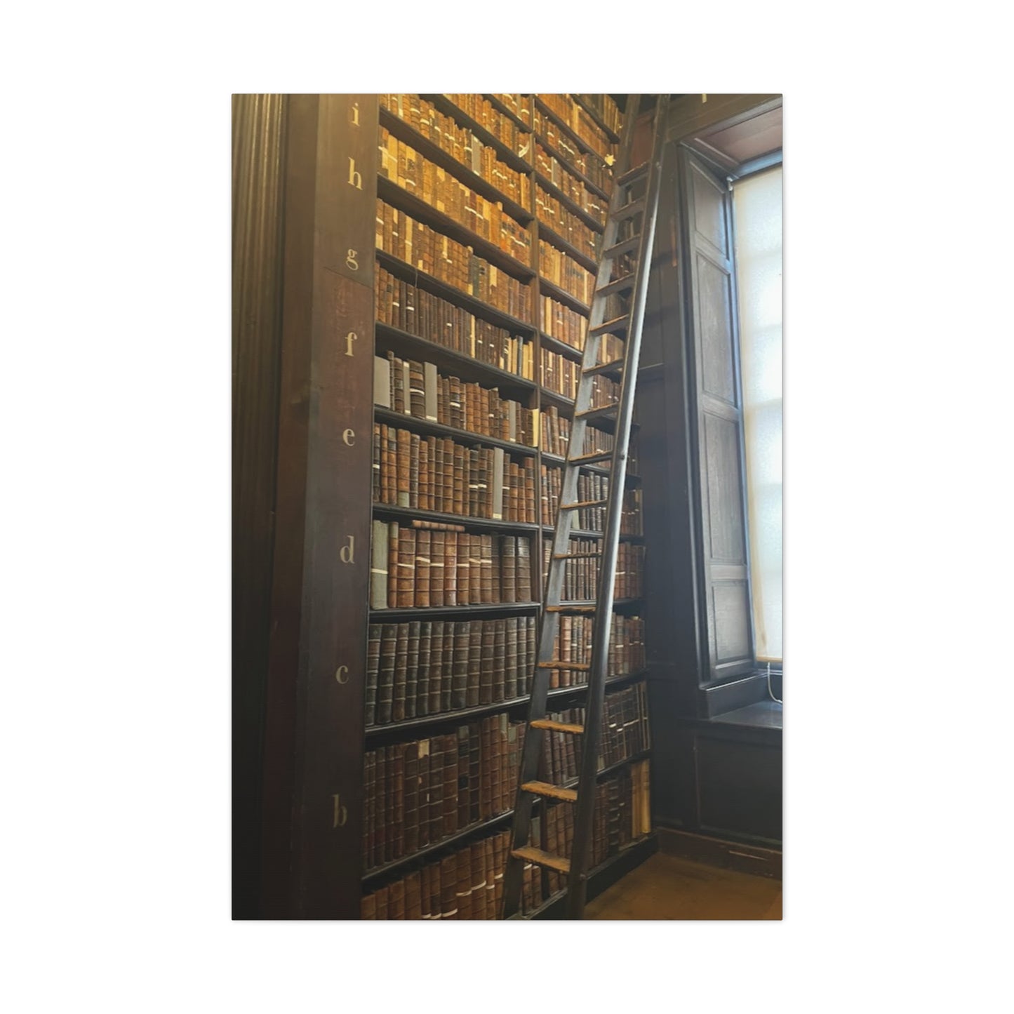 Library Wall Art | Vintage Bookcase Canvas Print - Trinity College Long Room