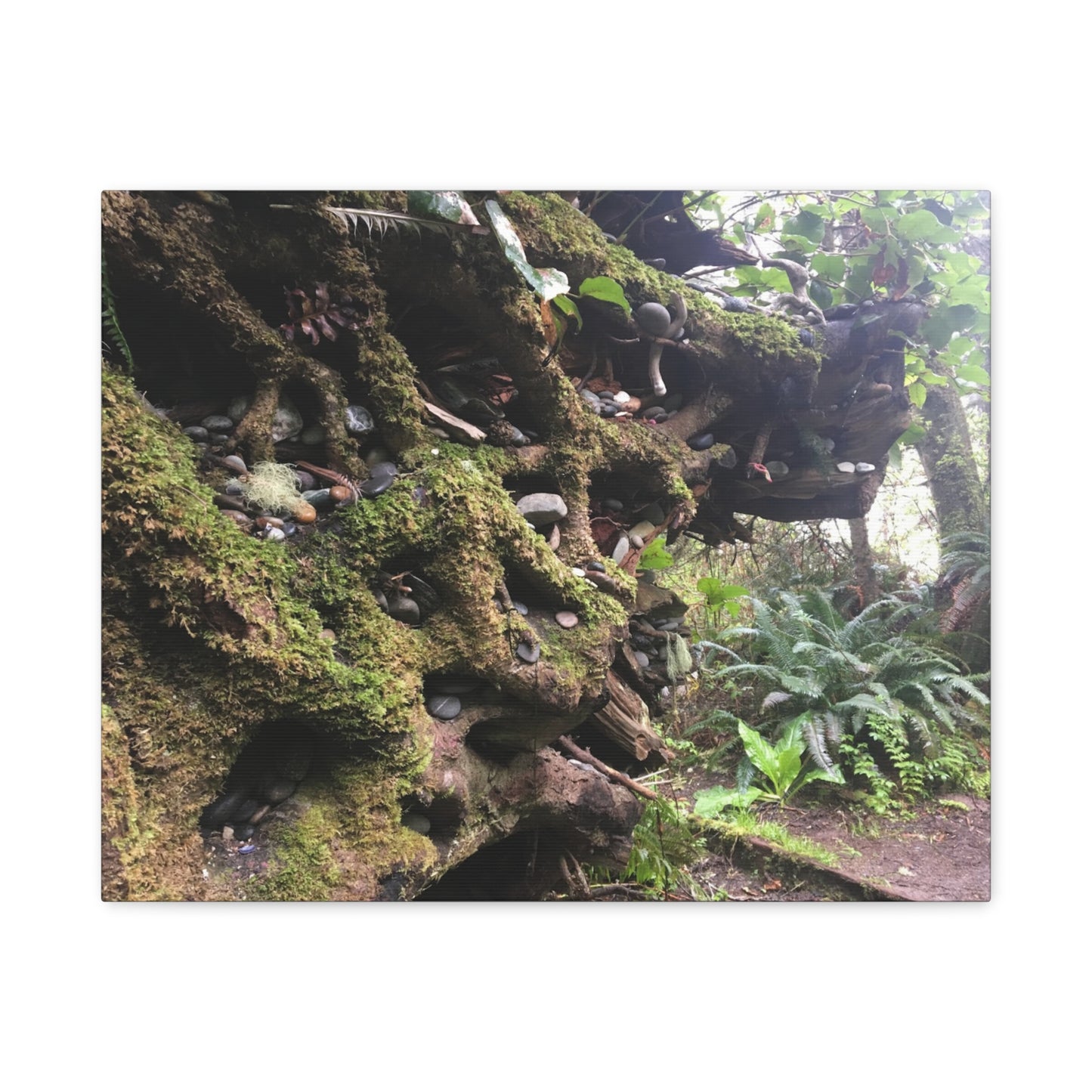 Nature-Inspired Stretched Canvas Art: Enchanted Forest Vibes