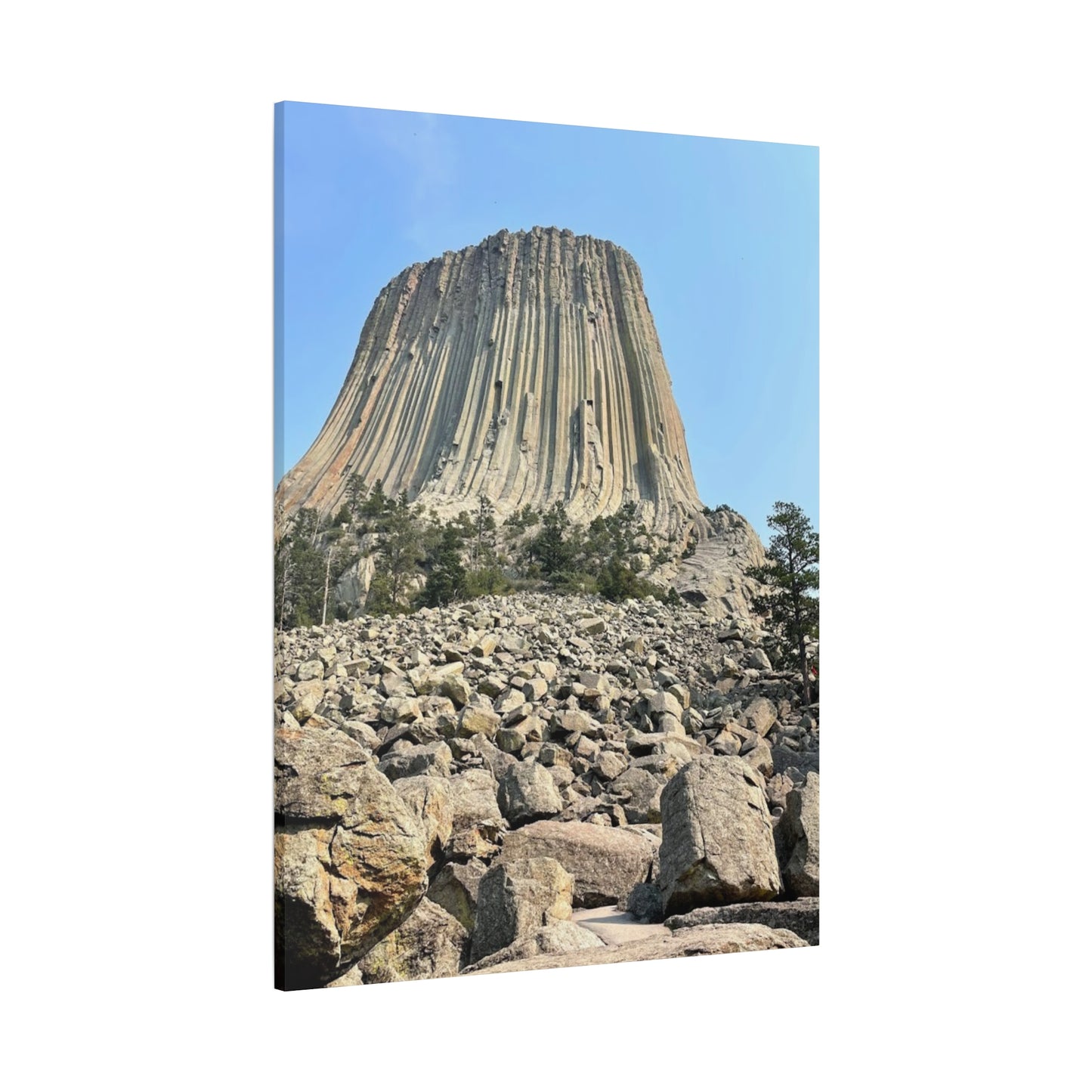Nature Art Canvas Print - Majestic Rock Formation Devil's Tower
