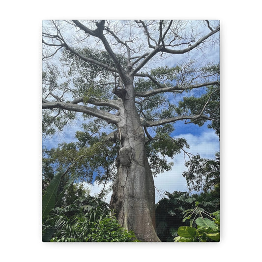 Stretched Canvas Art - Majestic Tree Wall Decor for Nature Lovers