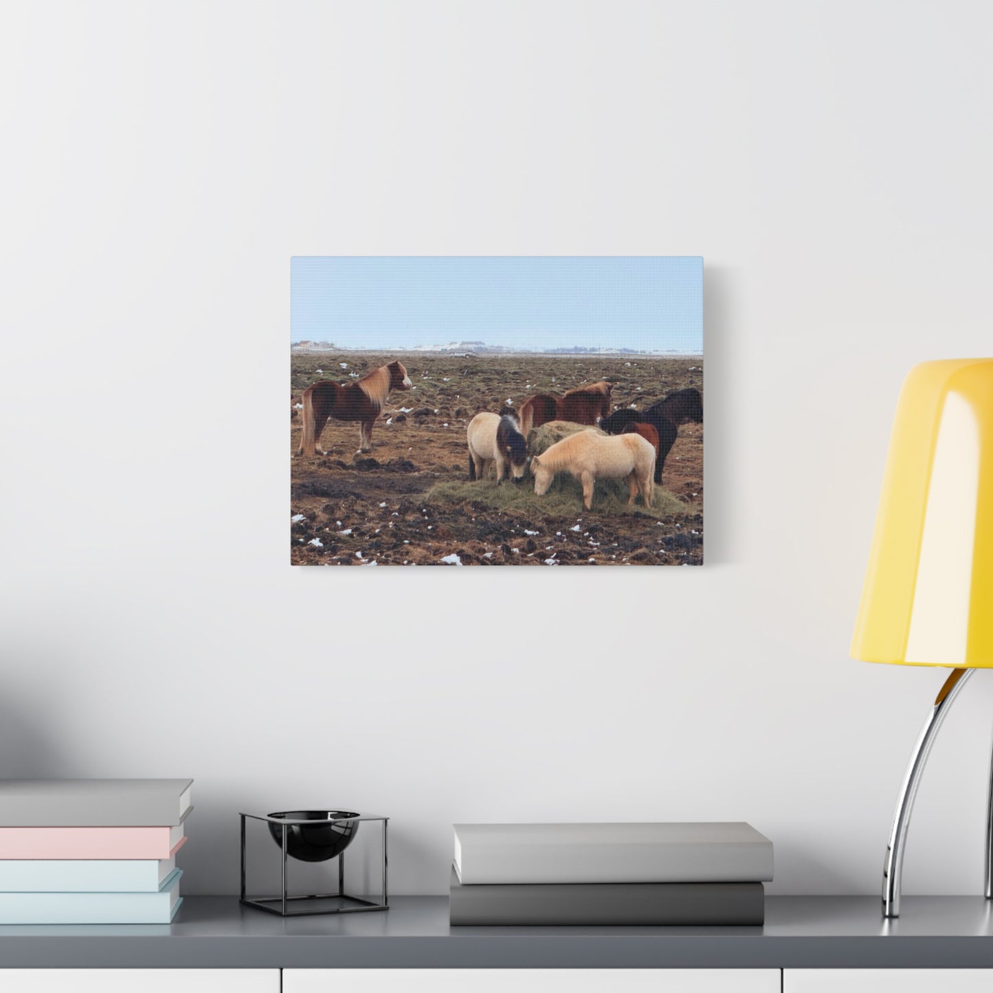 Icelandic Horse Canvas Art - Matte Stretched Print for Animal Lovers