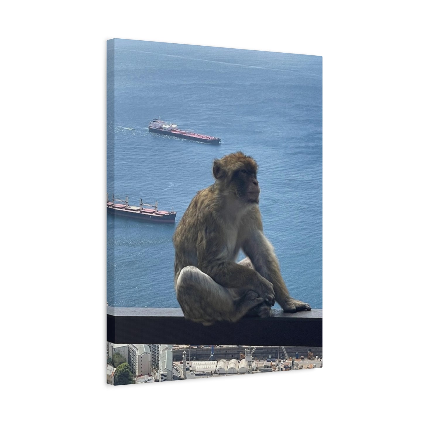 Monkeys by the Sea Canvas Art Print - Relaxing Coastal Decor Gibraltar