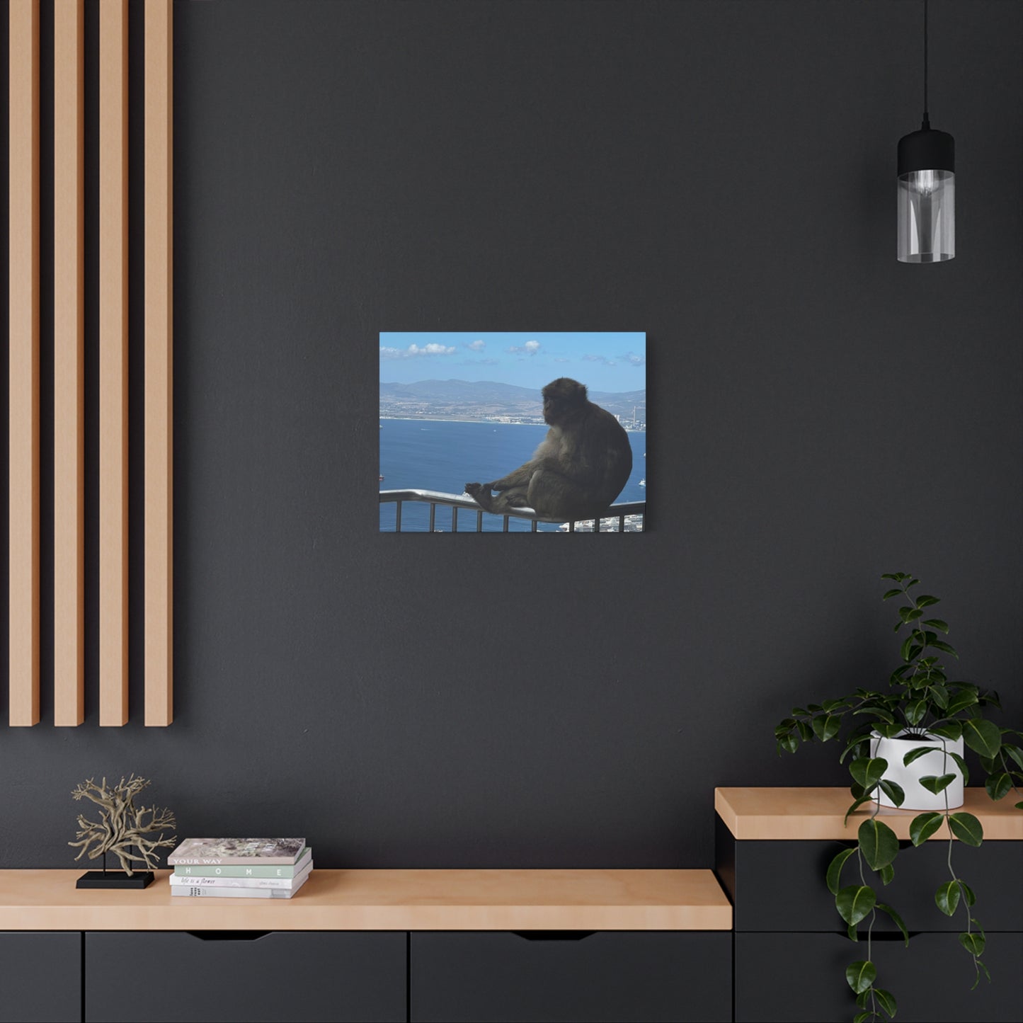 Monkey by the Sea Canvas Art - Relaxing Coastal Wall Decor Gibraltar