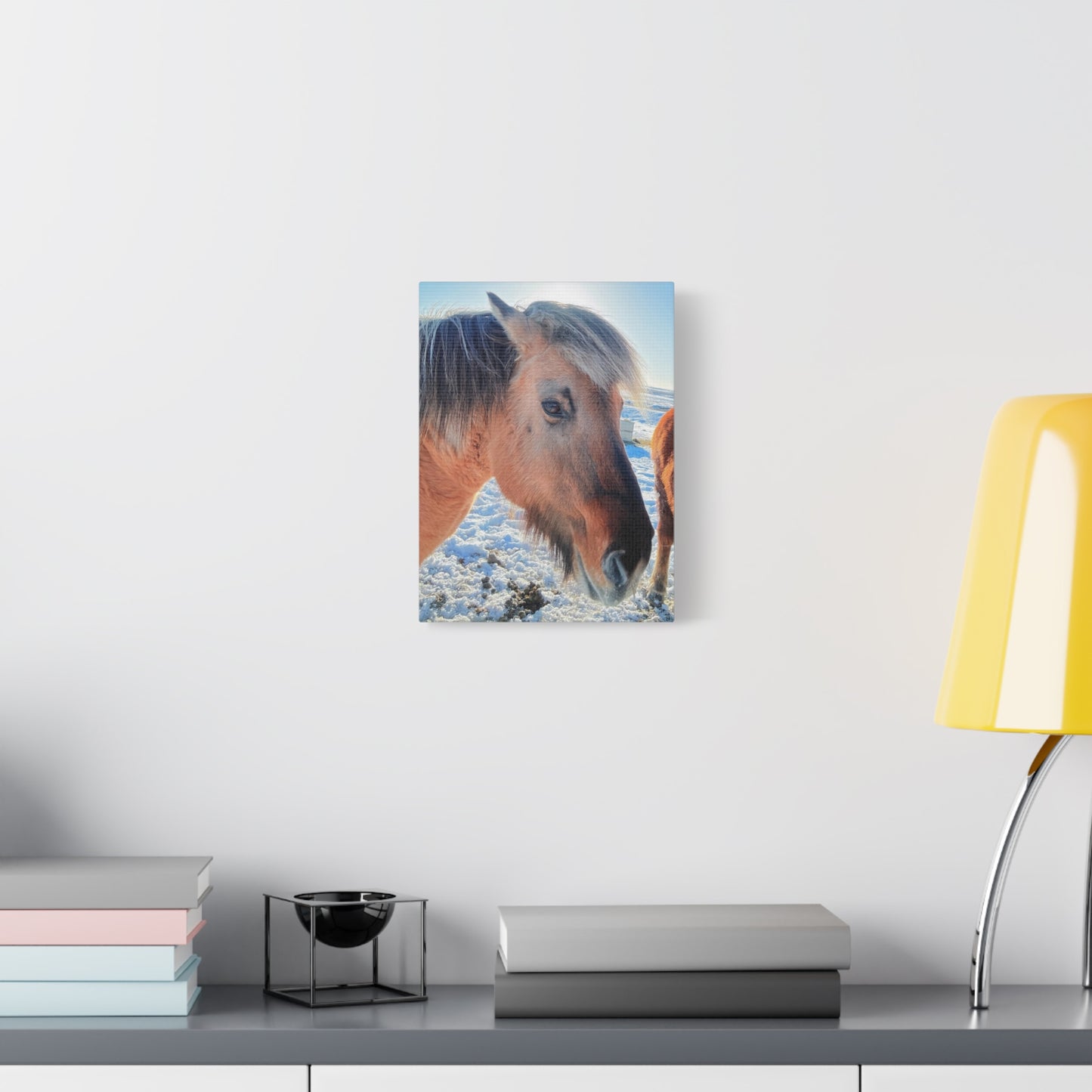 Beautiful Horse Canvas Wall Art - Stretched Matte Print for Animal Lovers