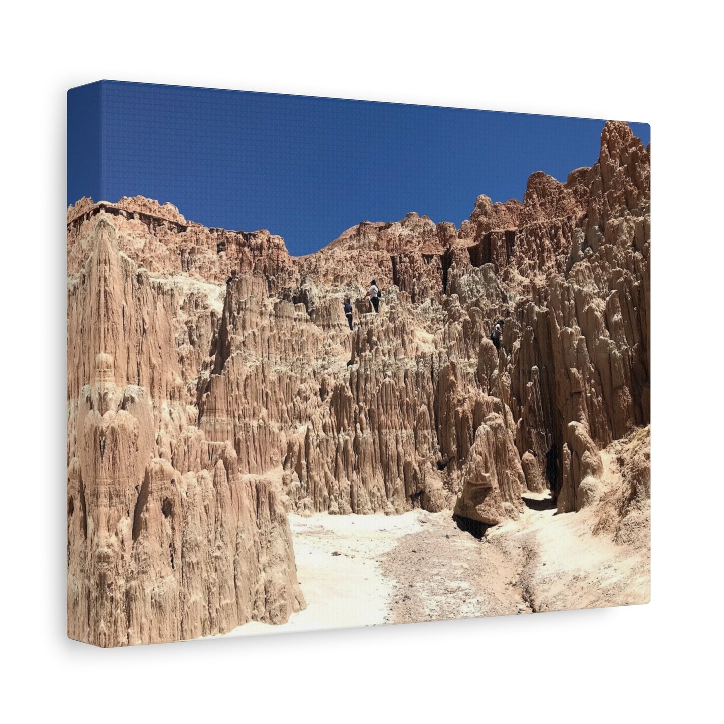 Desert Landscape Canvas Wall Art - Stretched Matte Print
