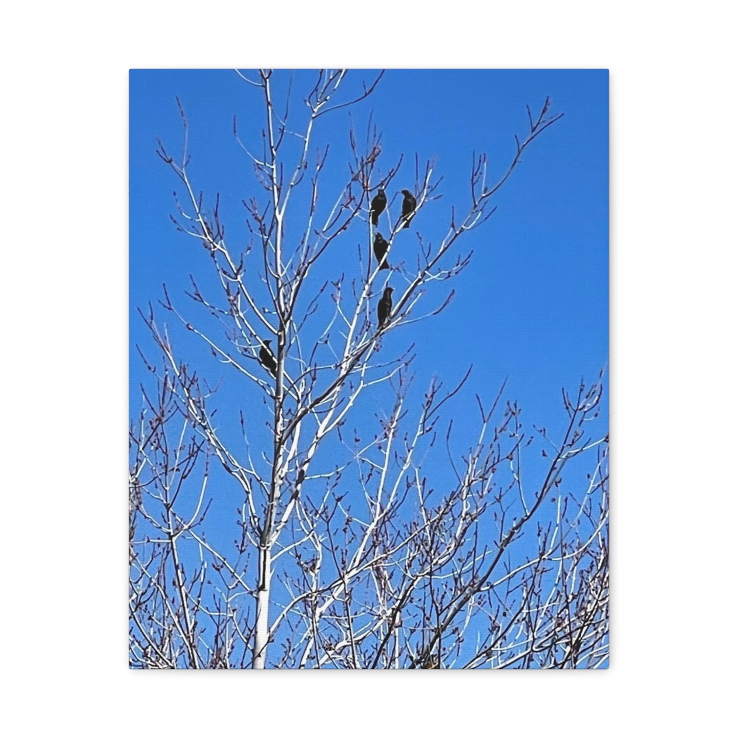 Serene Bird Canvas Wall Art - Tranquil Nature Decor for Home and Office