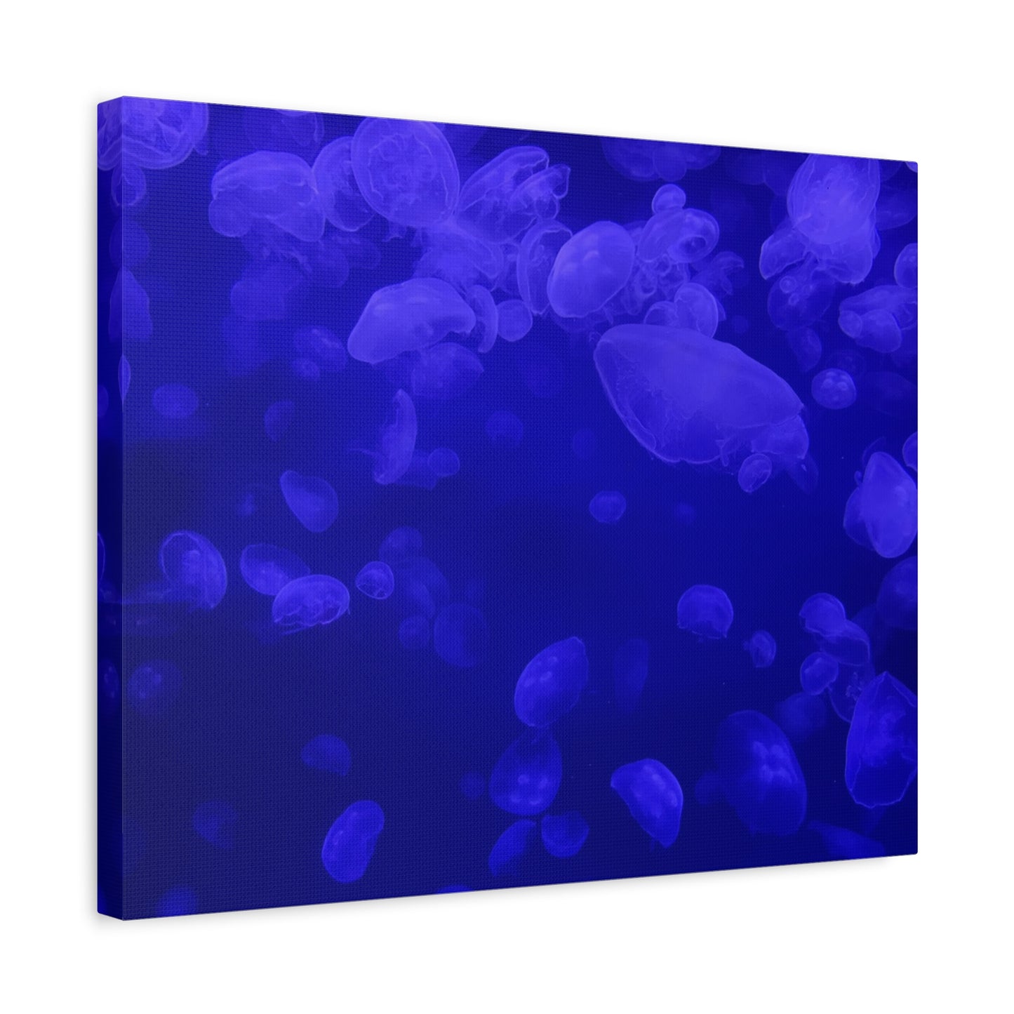 Jellyfish Watercolor Canvas Art - Ocean Theme Wall Decor