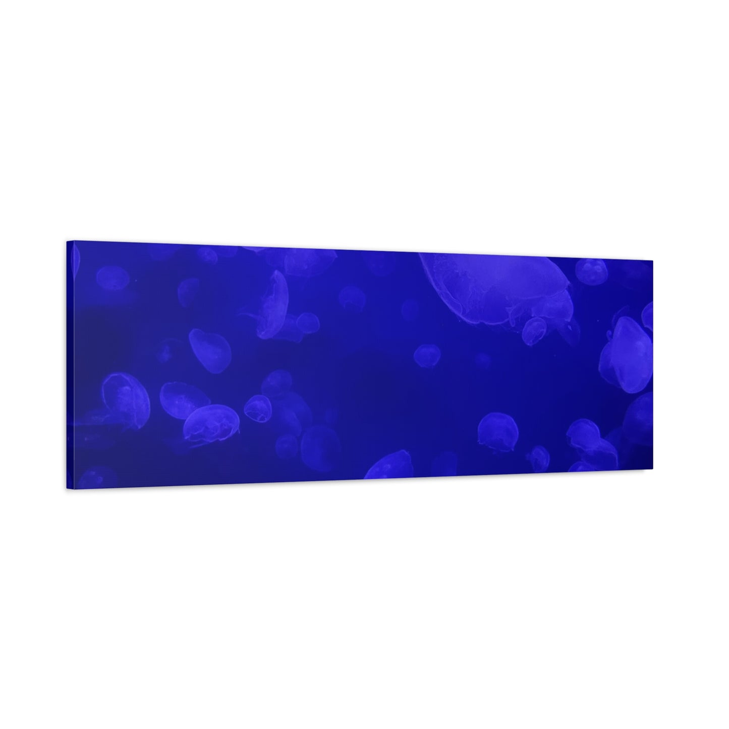 Jellyfish Watercolor Canvas Art - Ocean Theme Wall Decor