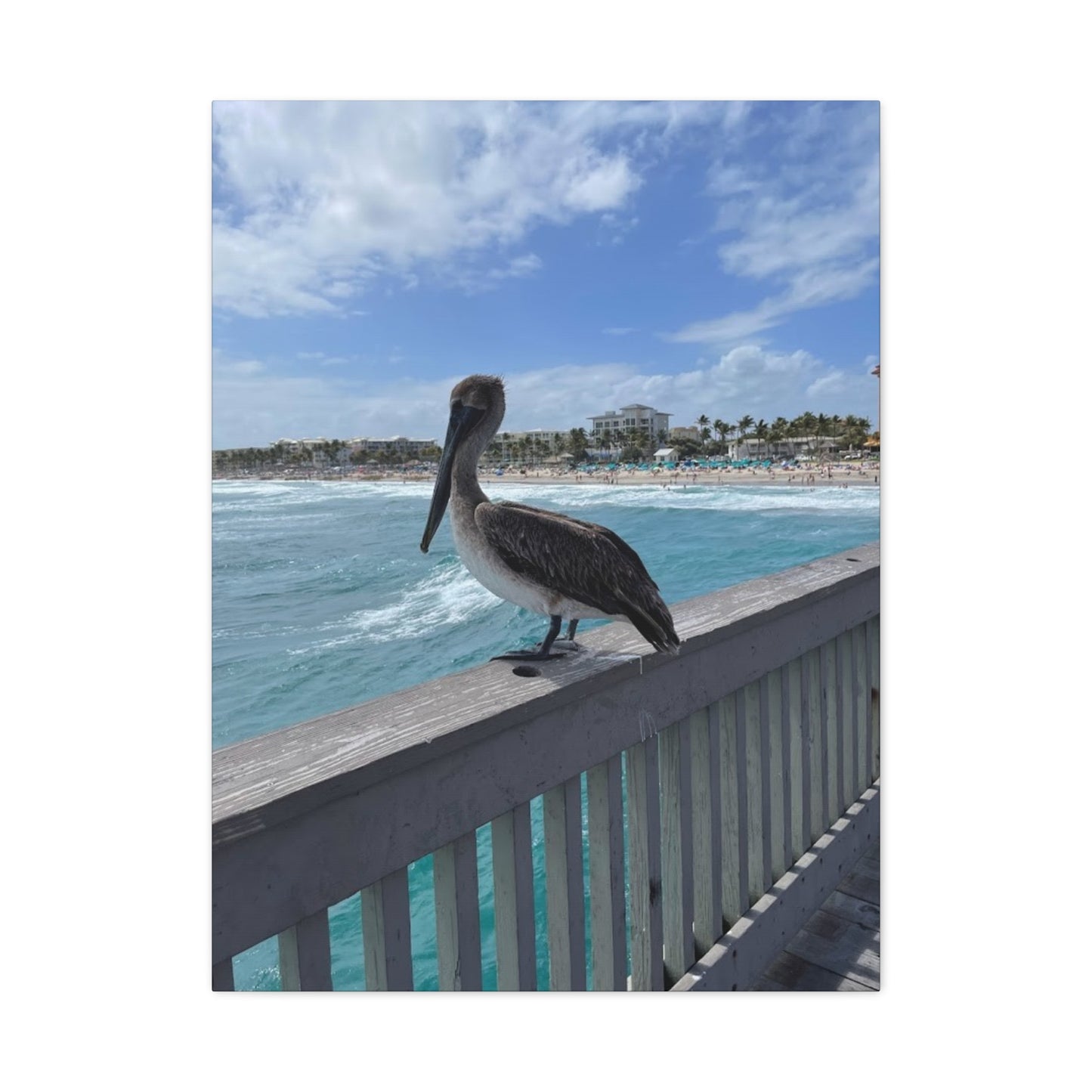 Coastal Serenity Pelican Canvas Print - 1.25" Stretched Wall Art