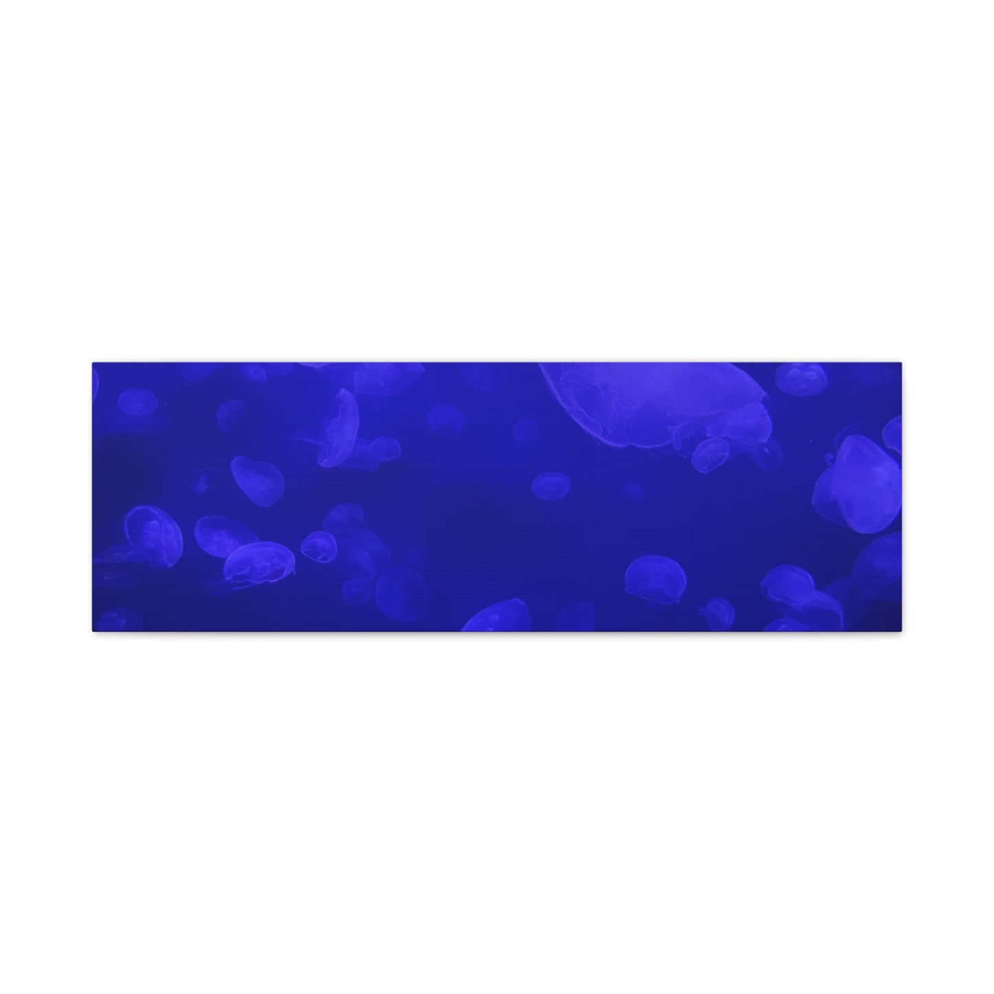 Jellyfish Watercolor Canvas Art - Ocean Theme Wall Decor