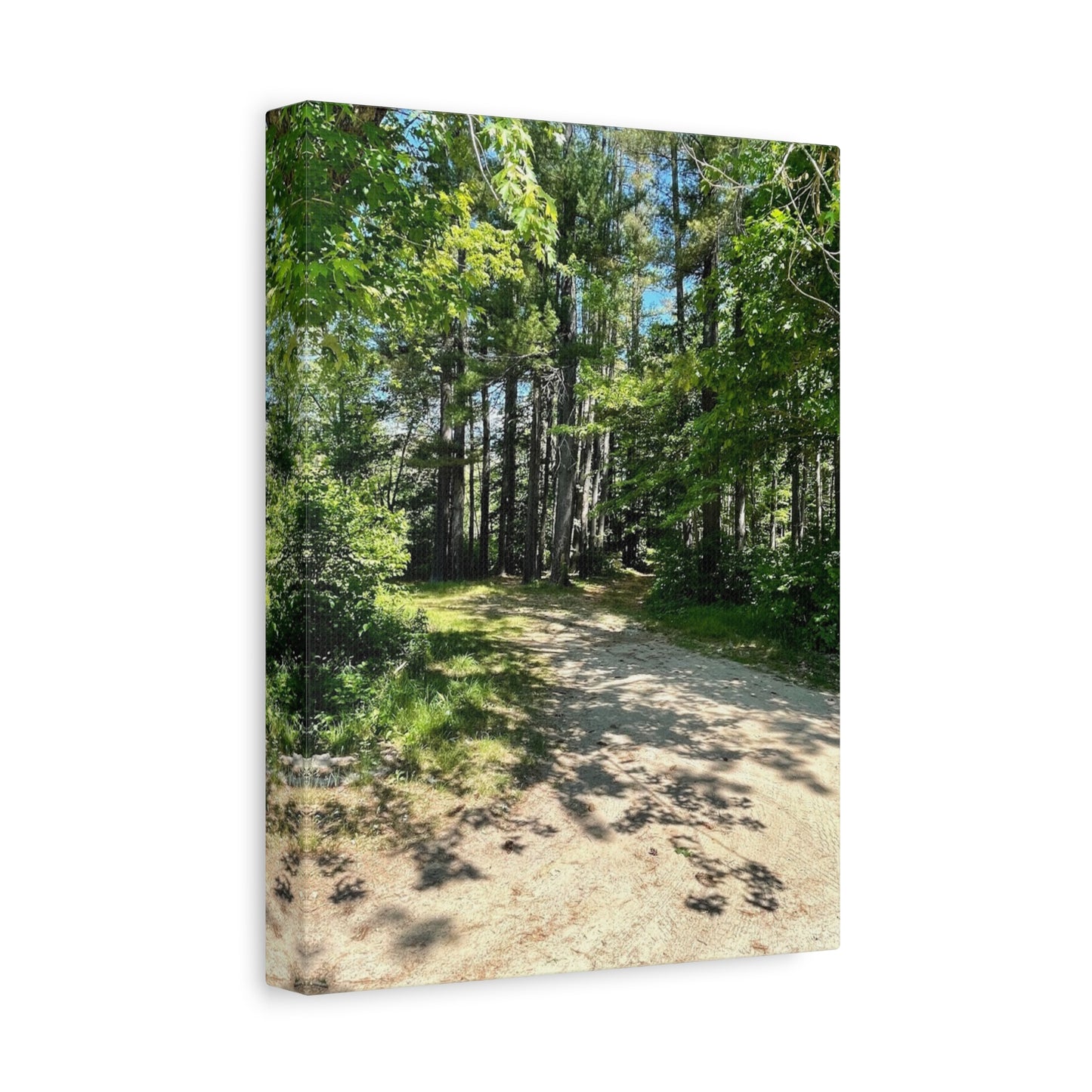 Serene Forest Path Canvas Wall Art - Tranquil Nature Decor for Home