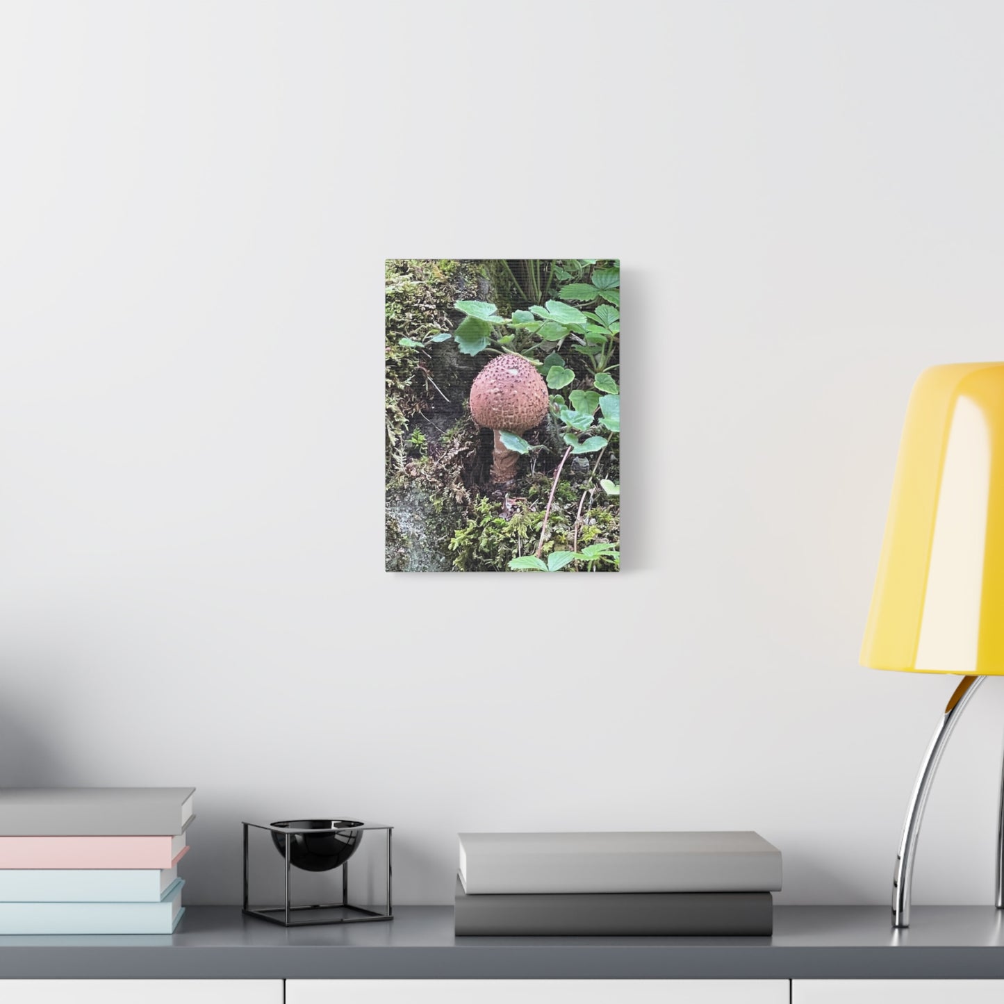 Nature-Inspired Mushroom Canvas Print - 1.25" Stretched Wall Art