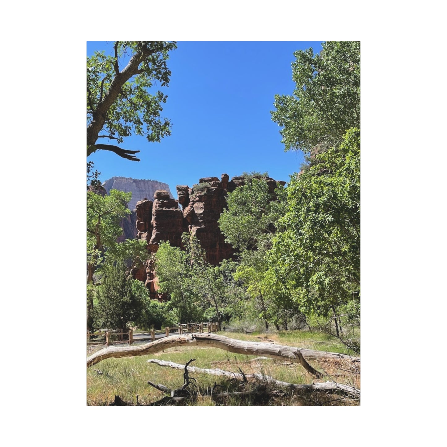 Stretched Canvas Art - Scenic Nature Landscape