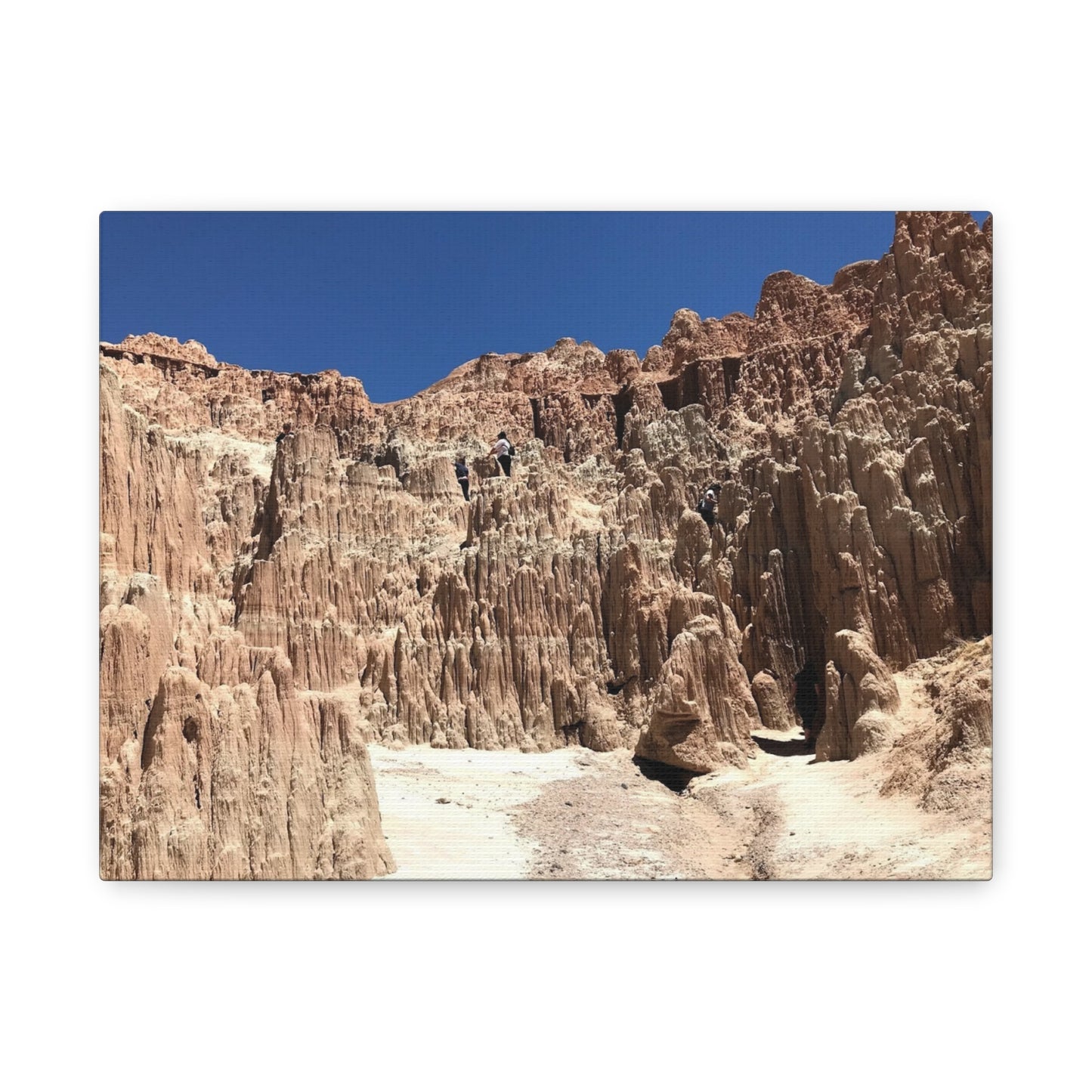 Desert Landscape Canvas Wall Art - Stretched Matte Print