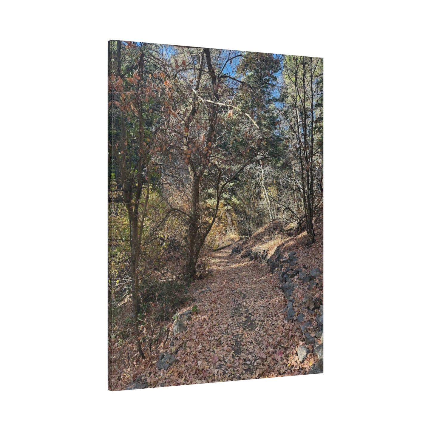 Nature-Inspired Matte Canvas Art - Stretched Wall Decor