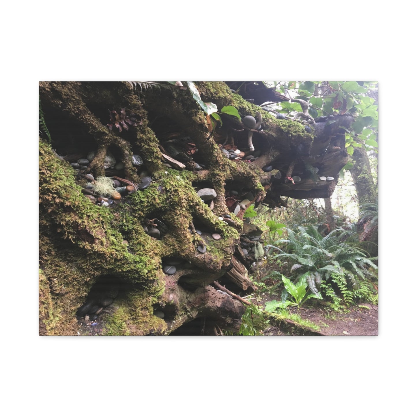 Nature-Inspired Stretched Canvas Art: Enchanted Forest Vibes
