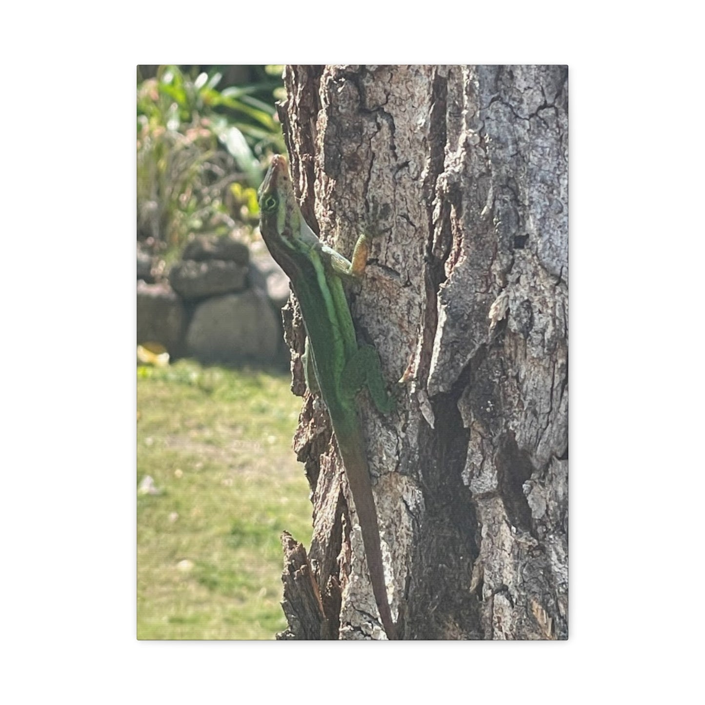 Nature-Inspired Stretched Canvas Art featuring Green Lizard on Tree
