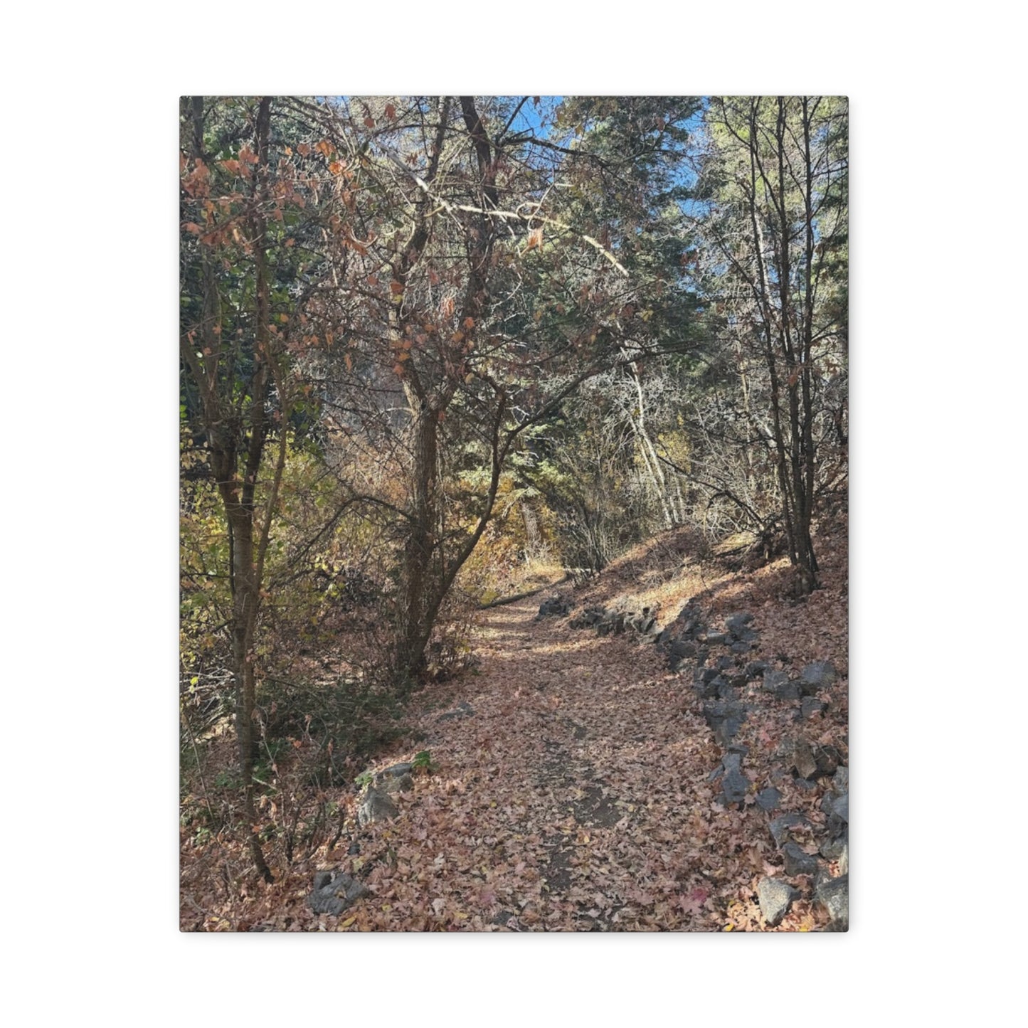 Nature-Inspired Matte Canvas Art - Stretched Wall Decor
