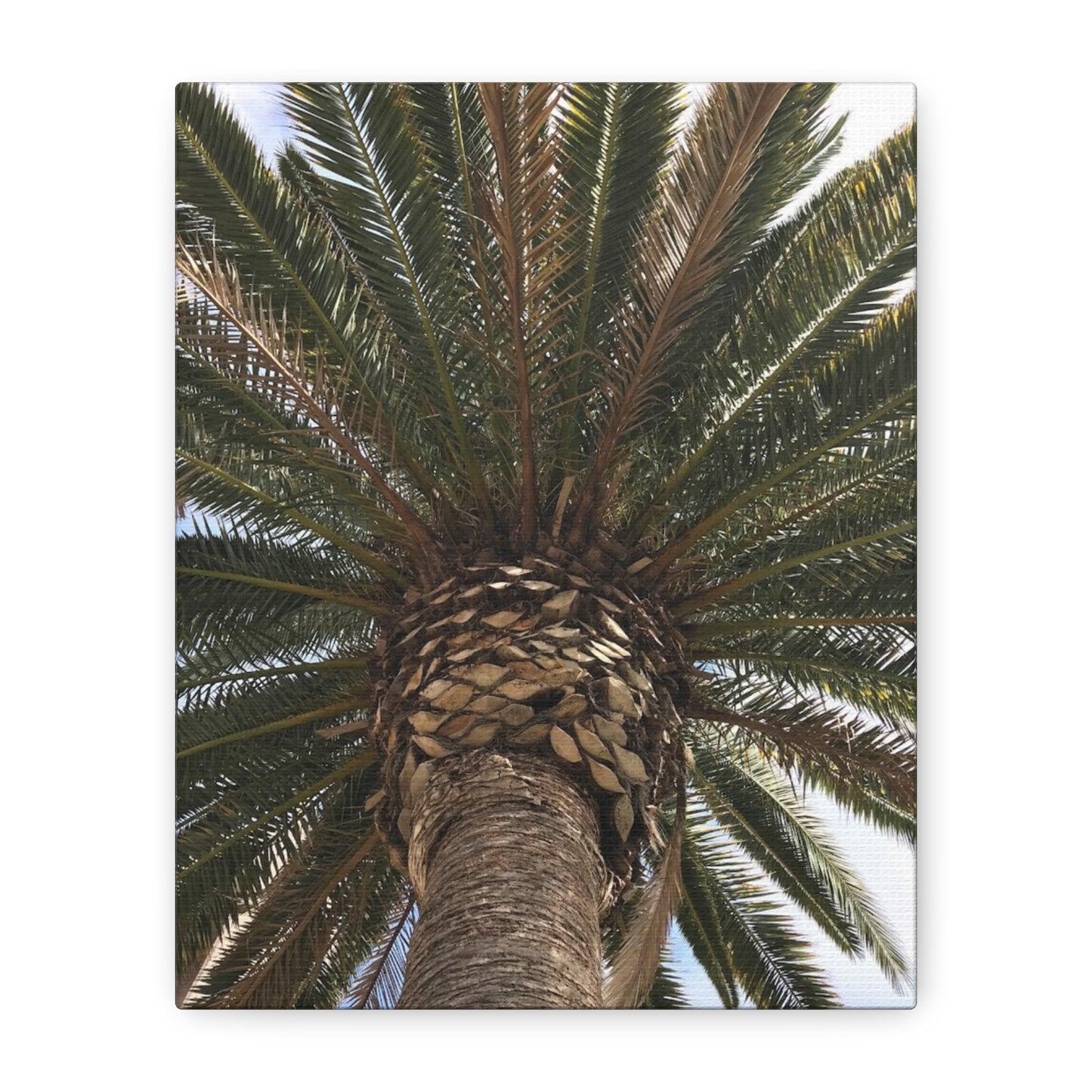 Tropical Palm Tree Canvas Art - Stretched Wall Decor for Home or Office