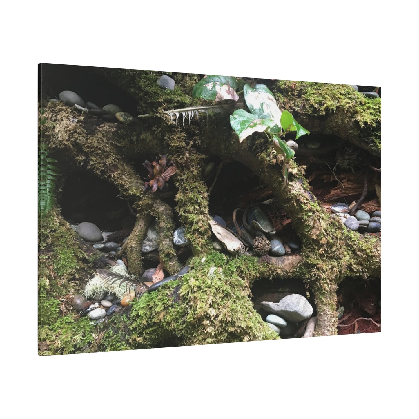 Nature-Inspired Matte Canvas Wall Art - Serene Root and Stone Design