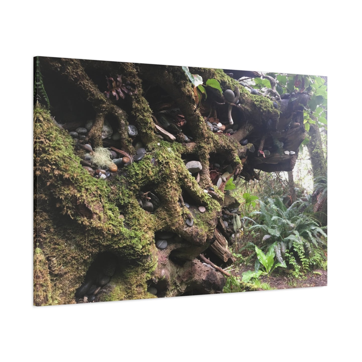 Nature-Inspired Stretched Canvas Art: Enchanted Forest Vibes