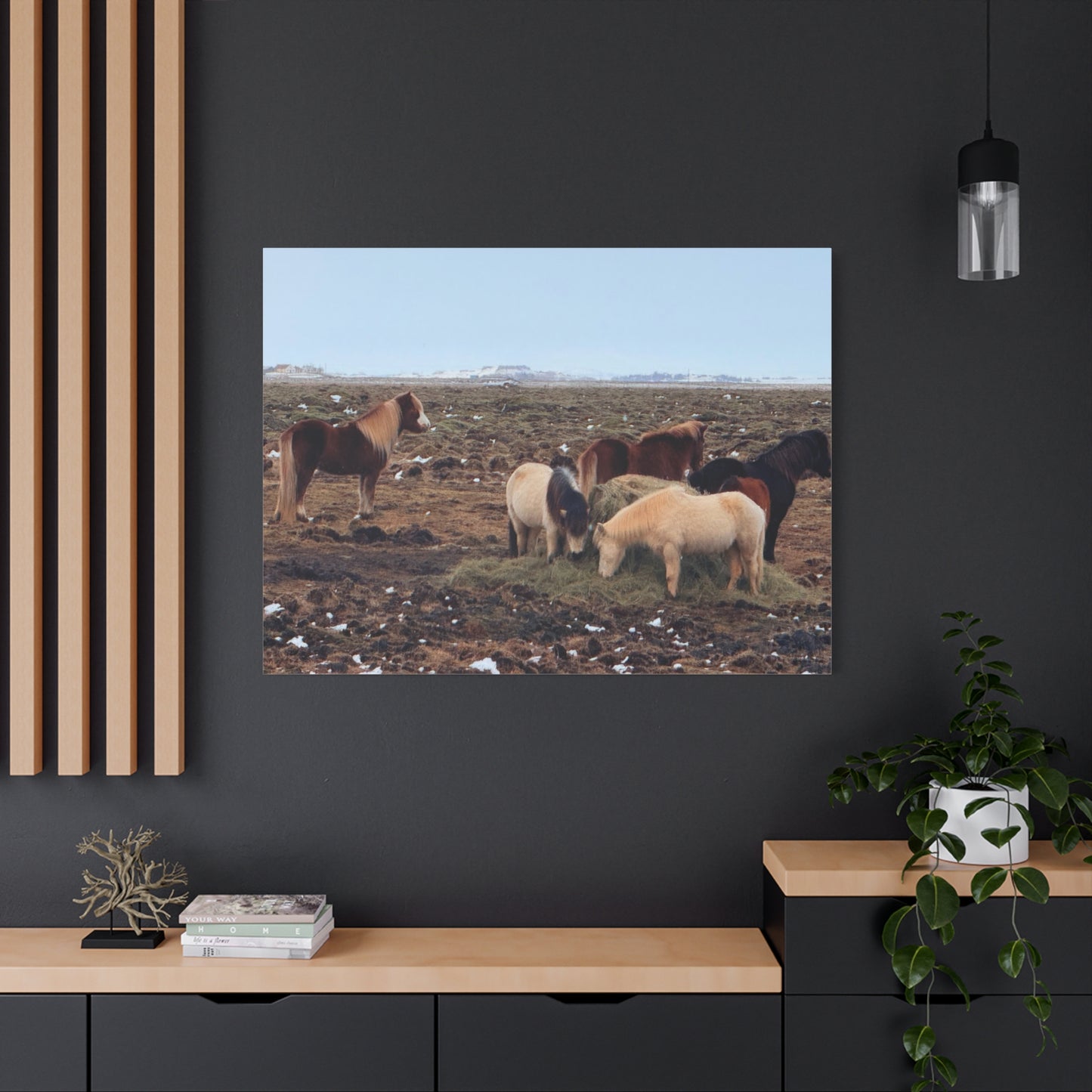 Icelandic Horse Canvas Art - Matte Stretched Print for Animal Lovers