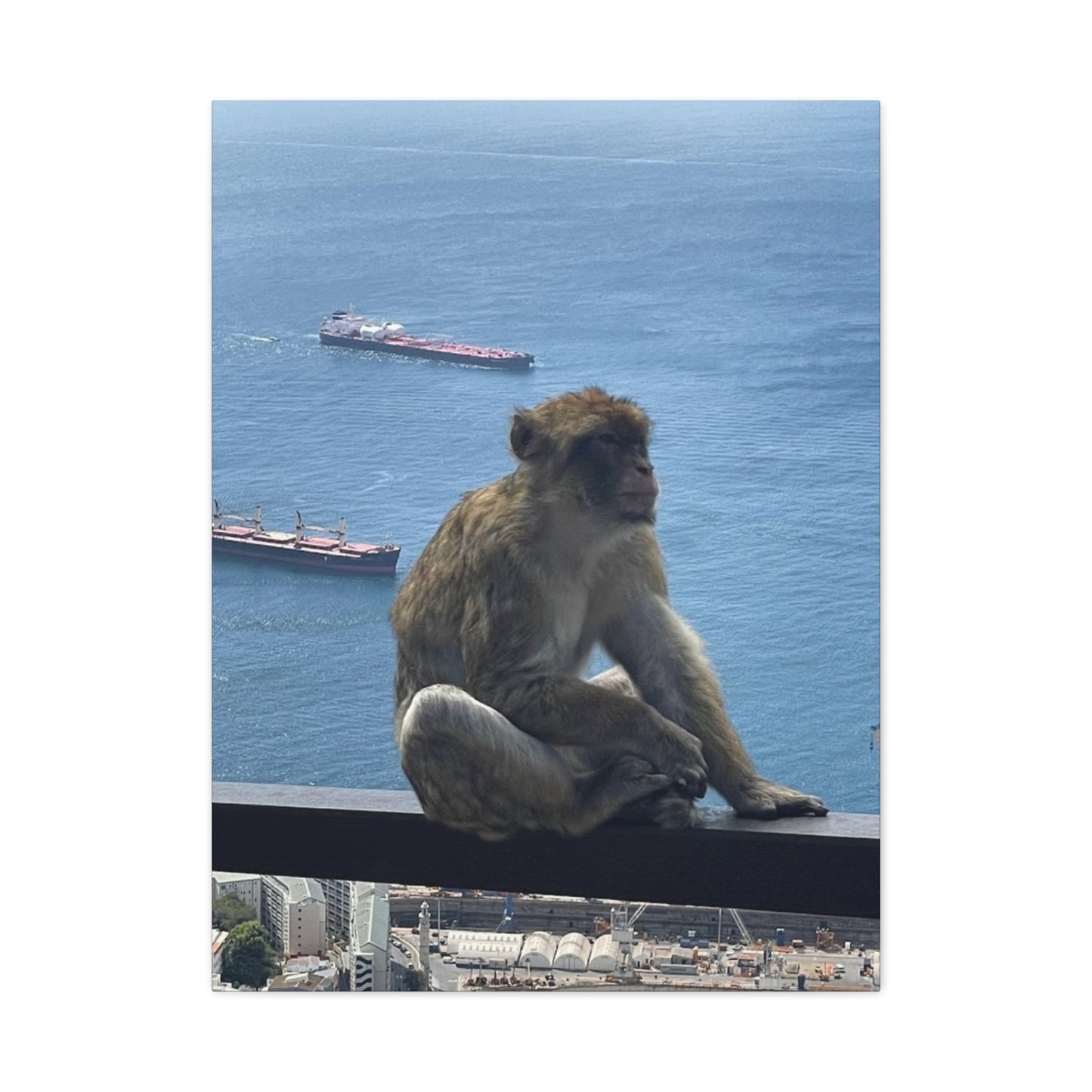 Monkeys by the Sea Canvas Art Print - Relaxing Coastal Decor Gibraltar