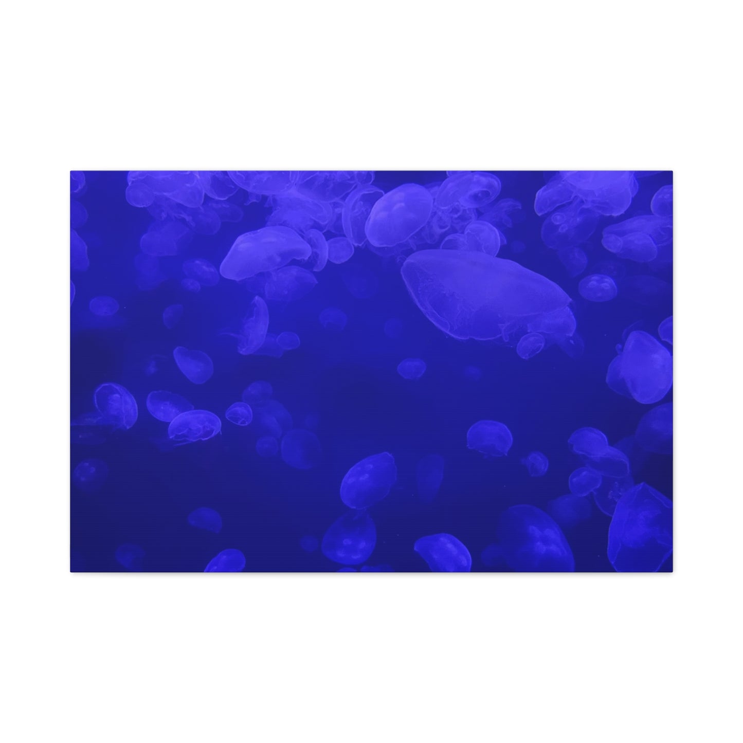 Jellyfish Watercolor Canvas Art - Ocean Theme Wall Decor