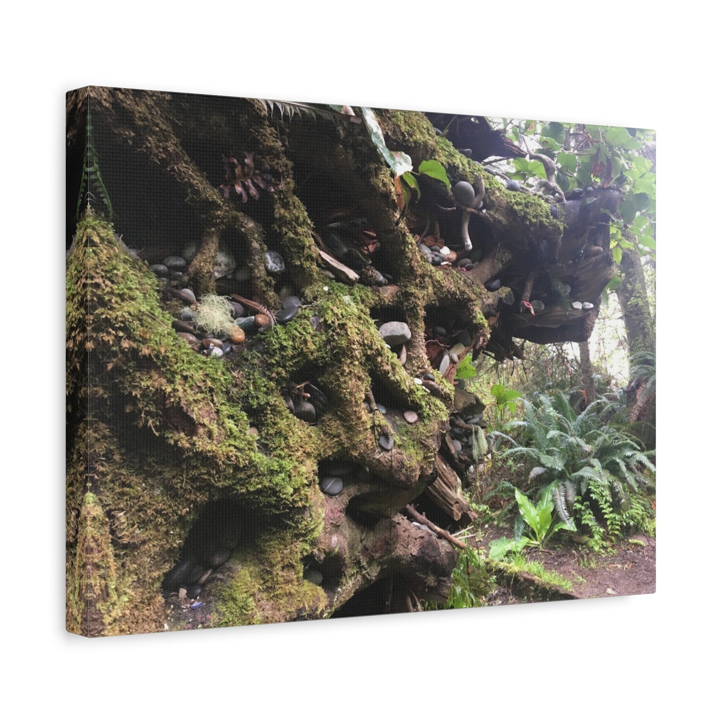 Nature-Inspired Stretched Canvas Art: Enchanted Forest Vibes