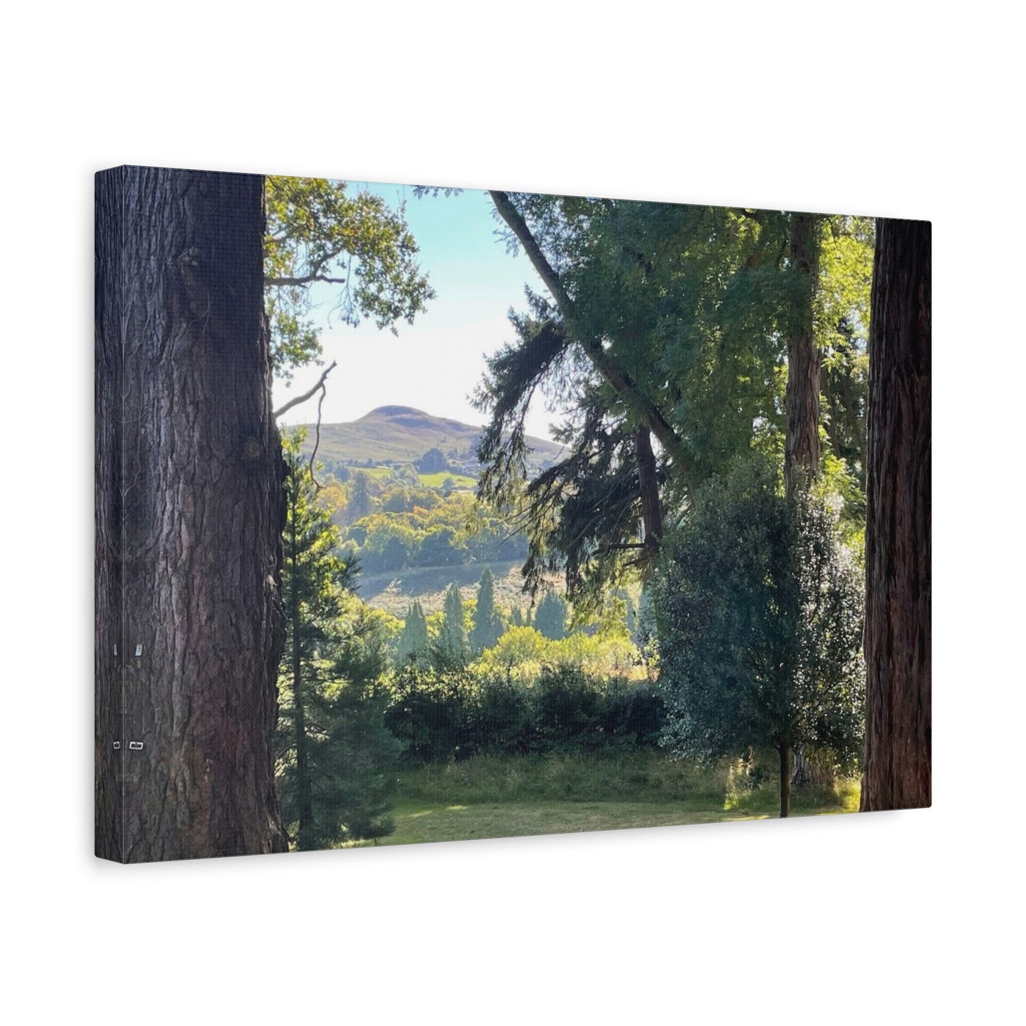Nature-Inspired Matte Canvas Wall Art - Scenic Landscape Decor