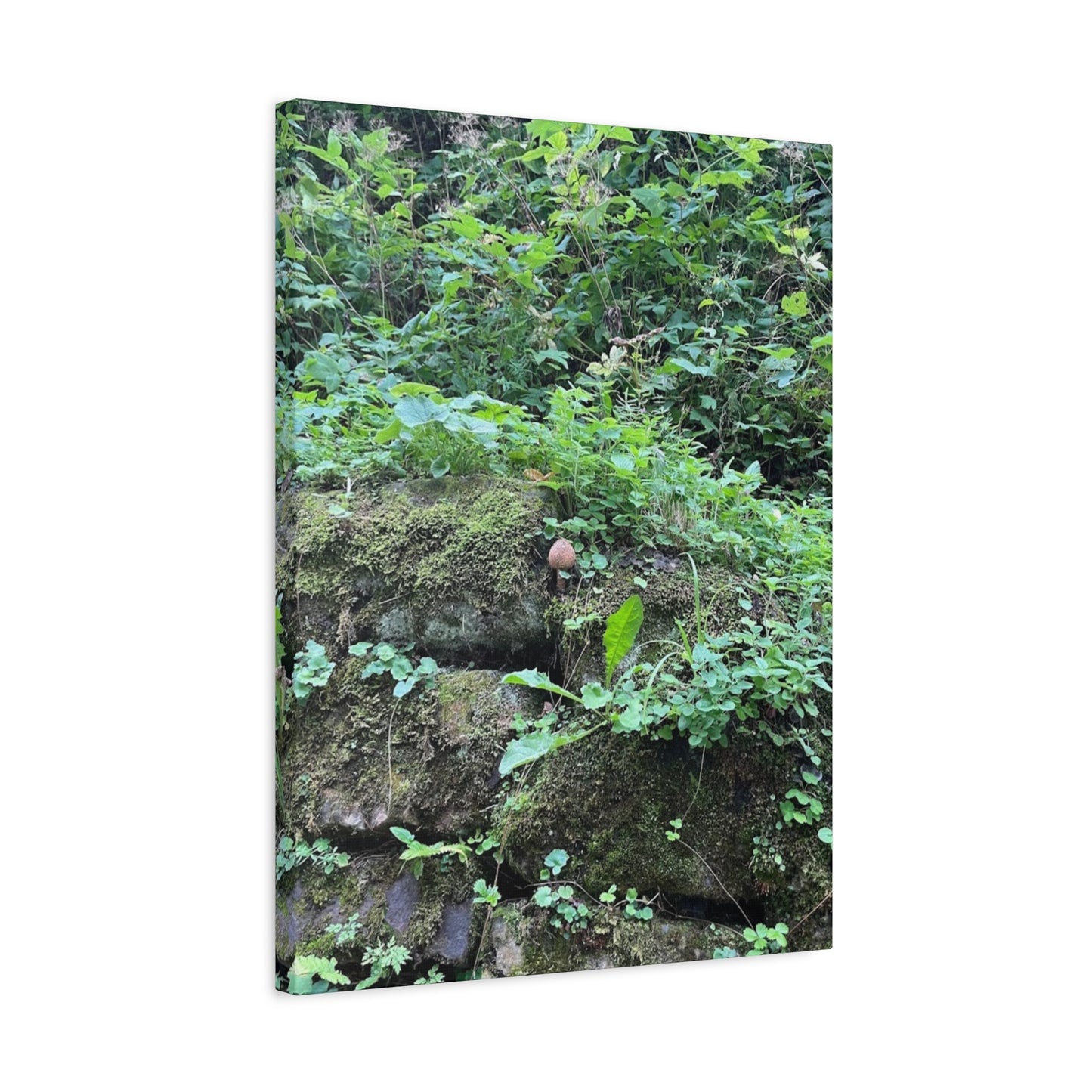 Nature-Inspired Stretched Canvas Print - Rustic Greenery Art for Home Décor