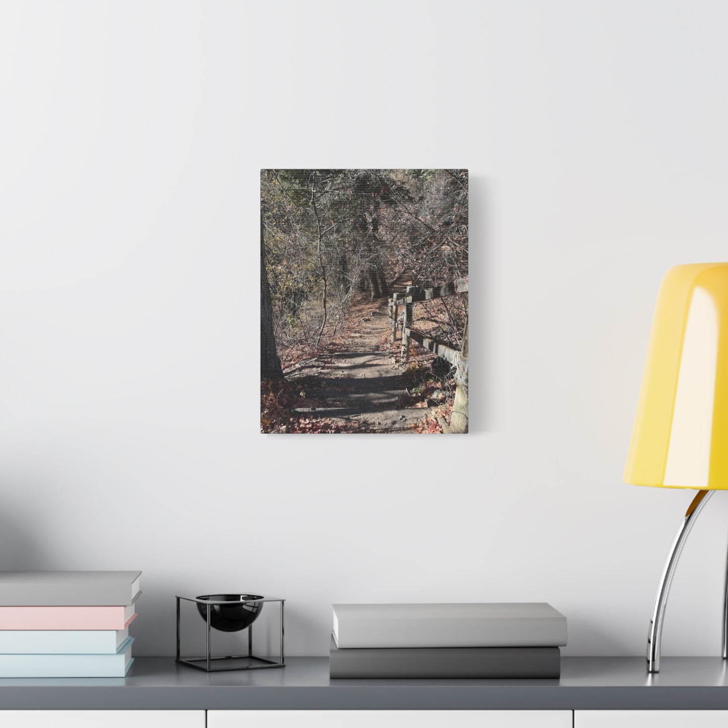 Nature Path Matte Canvas Wall Art - Tranquil Landscape Decor