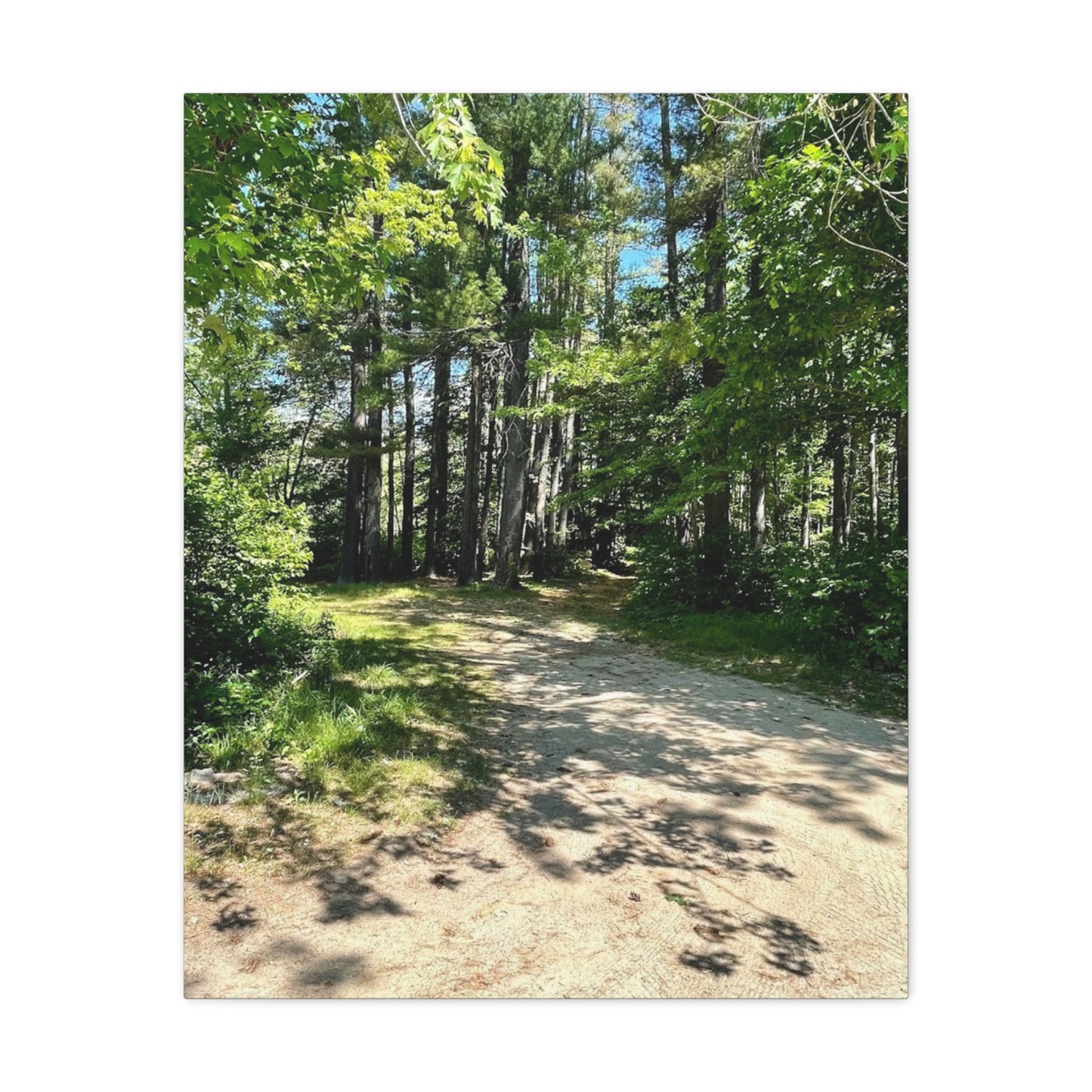 Serene Forest Path Canvas Wall Art - Tranquil Nature Decor for Home