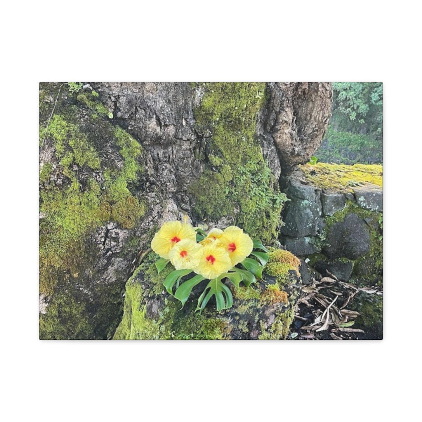 Floral Matte Canvas Art - Yellow Orchid and Moss Decor