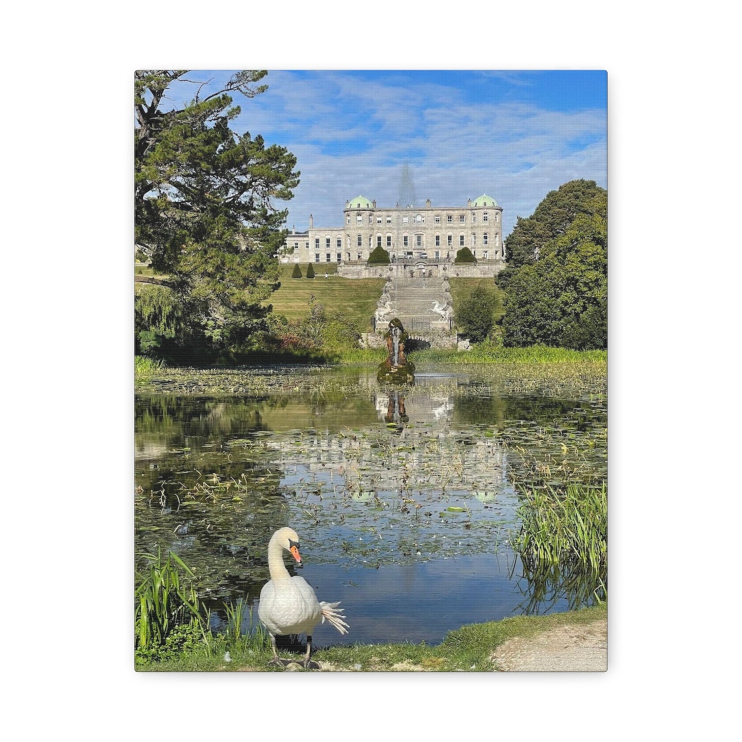 Stretched Matte Canvas Print - Serene Swan Reflection in Nature Powerscourt Estate, Wicklow Ireland