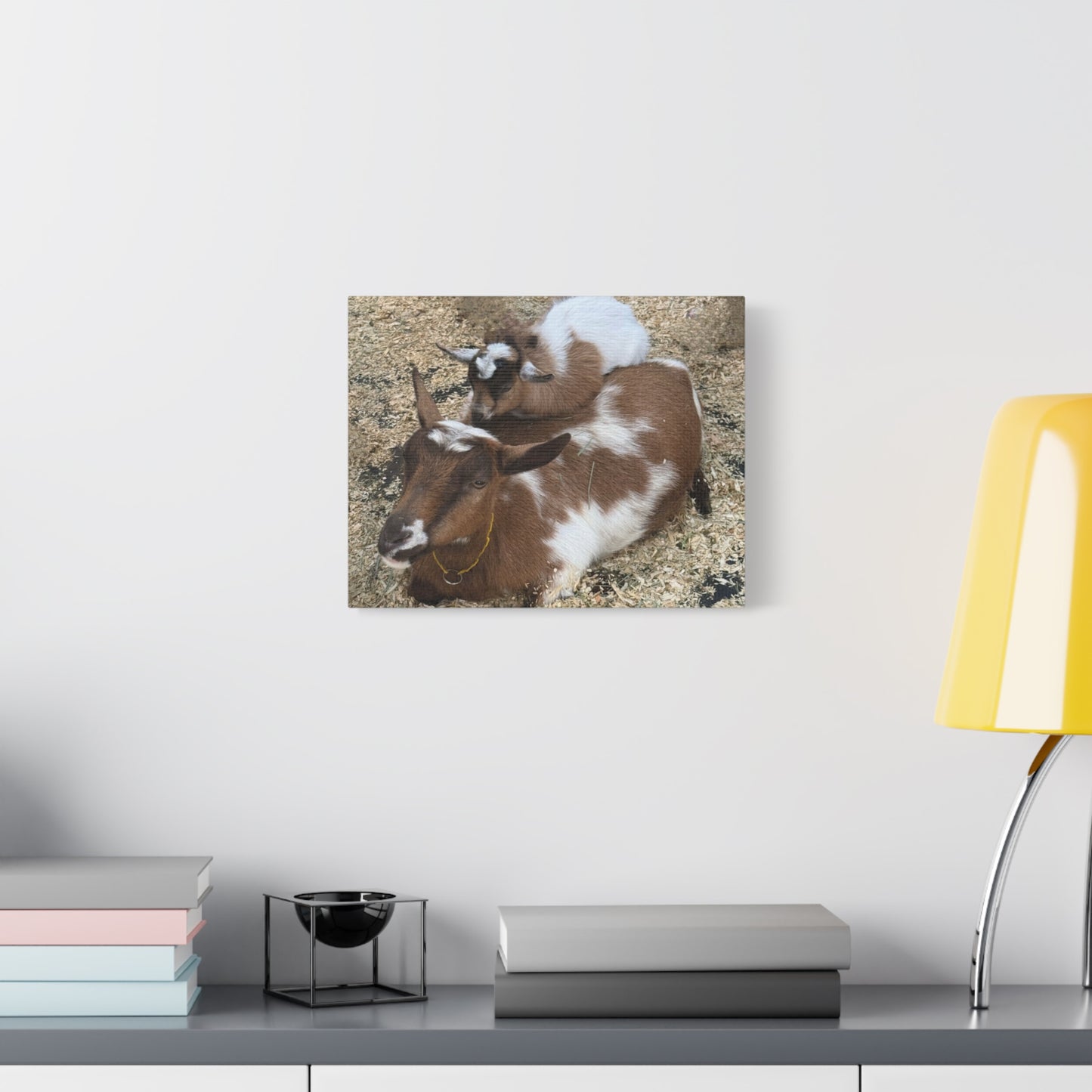 Goat Family Matte Canvas Print - Heartwarming Animal Wall Art
